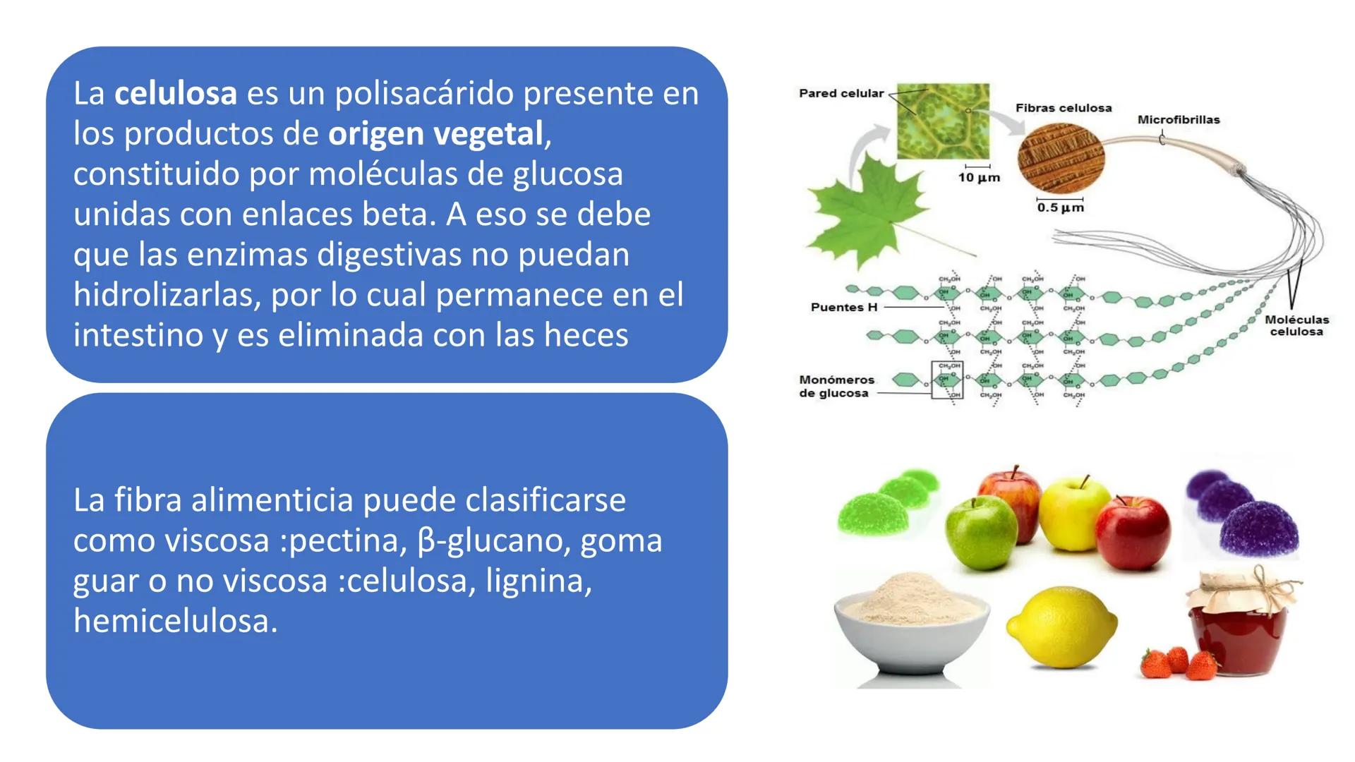 Glucosa
Fructuosa
Ribosa
HO
CH2OH
H
O
C
C = O
C
H-C-OH
HO-C-H
H-C-OH
HO-C-H
H-C-OH
H-C-OH
H-C-OH
H-C-OH
H-C-OH
☐
H-C-OH
CH2OH
CH2OH
CH2OH
a