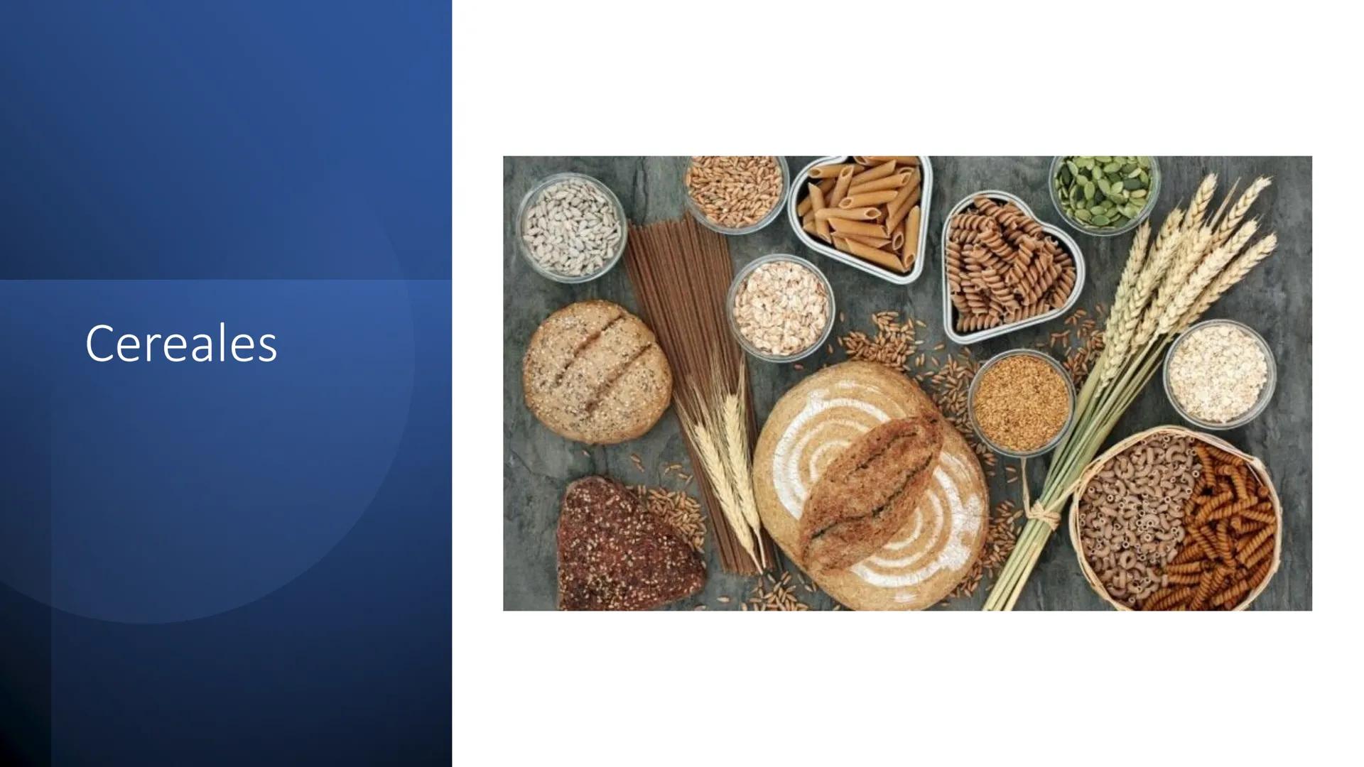 Glucosa
Fructuosa
Ribosa
HO
CH2OH
H
O
C
C = O
C
H-C-OH
HO-C-H
H-C-OH
HO-C-H
H-C-OH
H-C-OH
H-C-OH
H-C-OH
H-C-OH
☐
H-C-OH
CH2OH
CH2OH
CH2OH
a