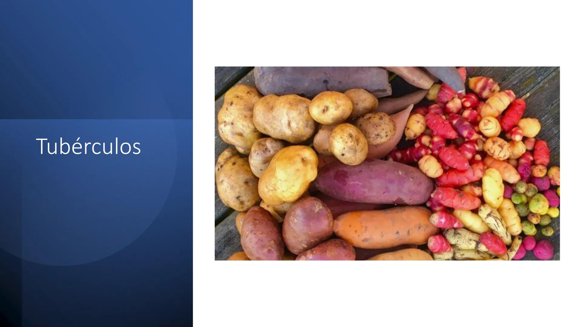 Glucosa
Fructuosa
Ribosa
HO
CH2OH
H
O
C
C = O
C
H-C-OH
HO-C-H
H-C-OH
HO-C-H
H-C-OH
H-C-OH
H-C-OH
H-C-OH
H-C-OH
☐
H-C-OH
CH2OH
CH2OH
CH2OH
a