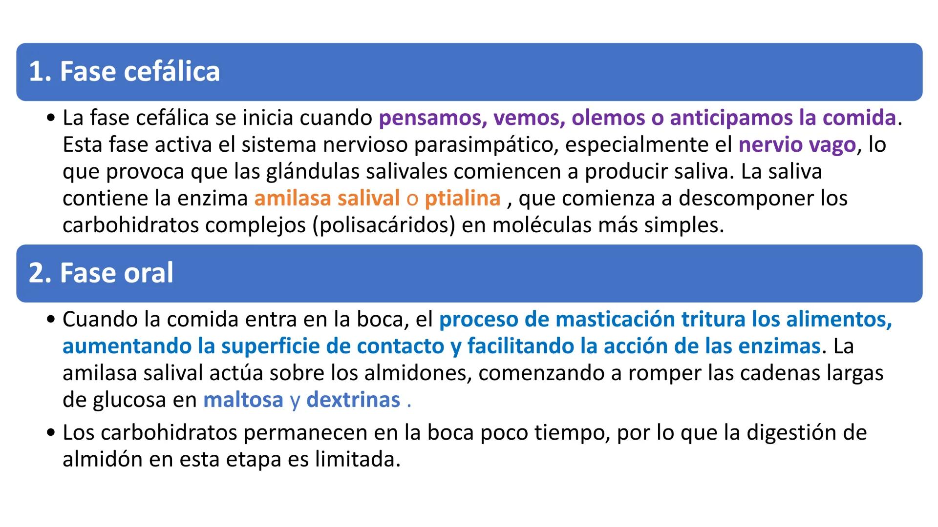 Glucosa
Fructuosa
Ribosa
HO
CH2OH
H
O
C
C = O
C
H-C-OH
HO-C-H
H-C-OH
HO-C-H
H-C-OH
H-C-OH
H-C-OH
H-C-OH
H-C-OH
☐
H-C-OH
CH2OH
CH2OH
CH2OH
a