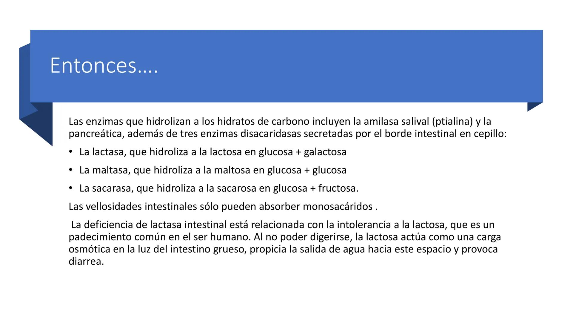 Glucosa
Fructuosa
Ribosa
HO
CH2OH
H
O
C
C = O
C
H-C-OH
HO-C-H
H-C-OH
HO-C-H
H-C-OH
H-C-OH
H-C-OH
H-C-OH
H-C-OH
☐
H-C-OH
CH2OH
CH2OH
CH2OH
a