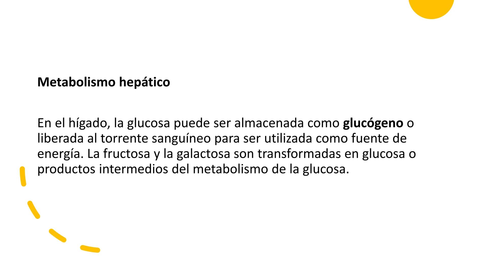 Glucosa
Fructuosa
Ribosa
HO
CH2OH
H
O
C
C = O
C
H-C-OH
HO-C-H
H-C-OH
HO-C-H
H-C-OH
H-C-OH
H-C-OH
H-C-OH
H-C-OH
☐
H-C-OH
CH2OH
CH2OH
CH2OH
a
