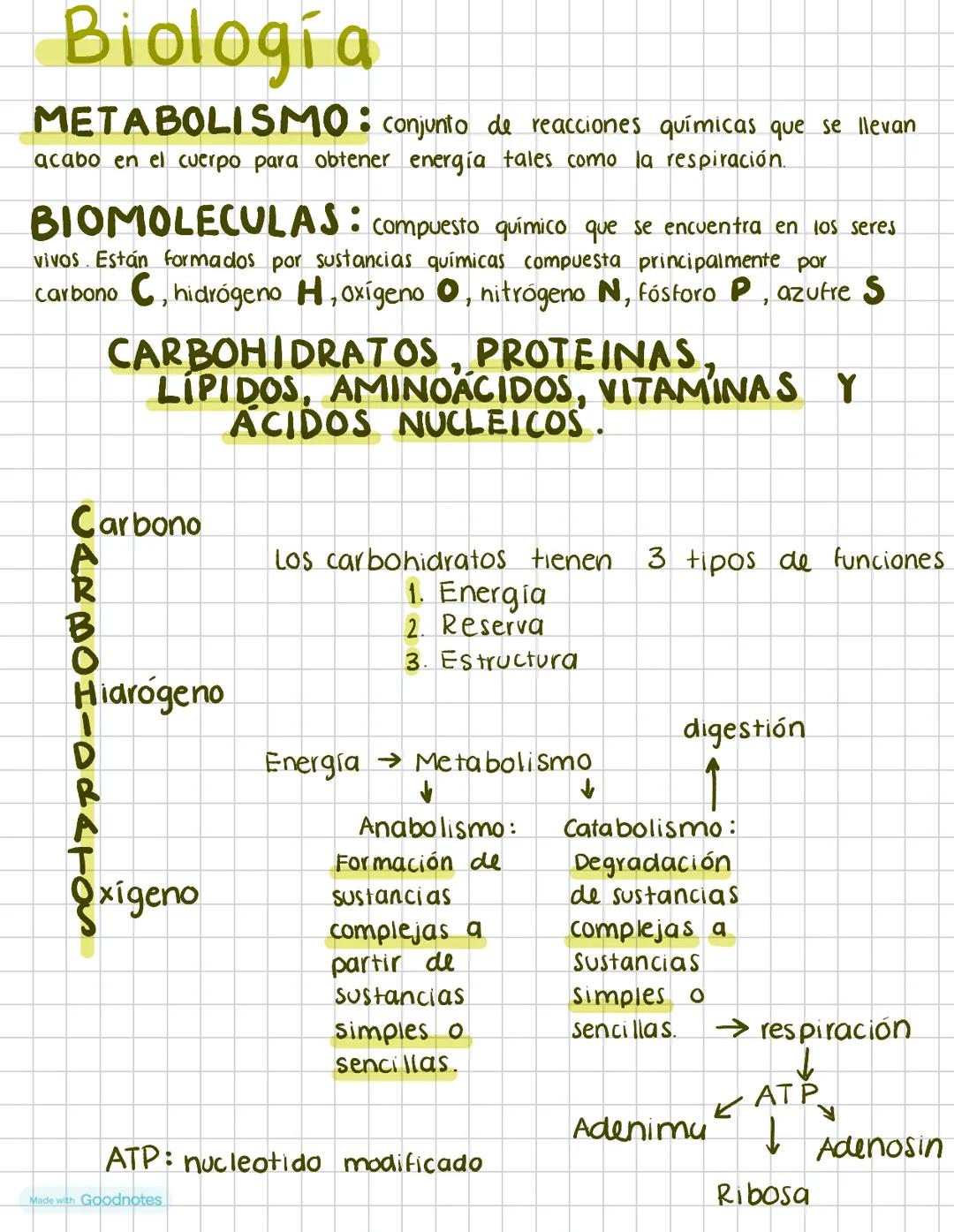 # Biología
METABOLISMO: conjunto de reacciones químicas que se llevan
acabo en el cuerpo para obtener energía tales como la respiración.
B