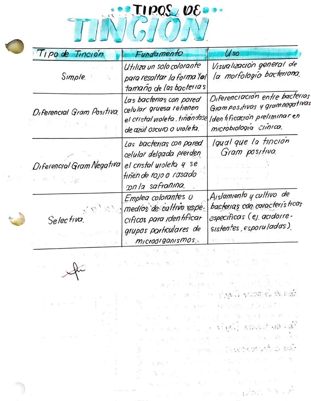 # TIPOS DE٠٠
# TINCION
| Tipo de Tinción | Fundamento | Uso |
|---|---|---|
| Simple. | Utılıza un solo colorante para resaltar la forma Yel