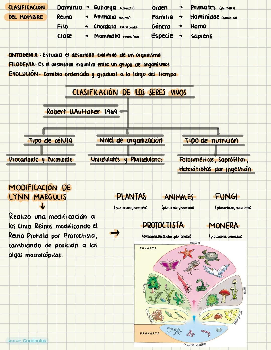 TAXONOMÍA
La clasificación de
los organismos
Sistemática
Taxonomía
y
La diversidad biológica es el resultado de la evolución biológica y cor