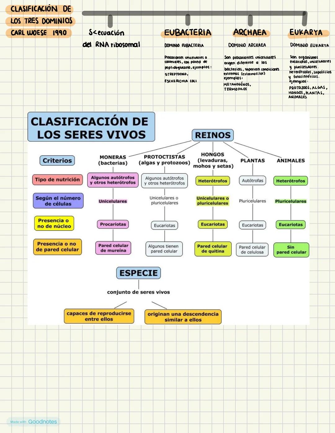 TAXONOMÍA
La clasificación de
los organismos
Sistemática
Taxonomía
y
La diversidad biológica es el resultado de la evolución biológica y cor