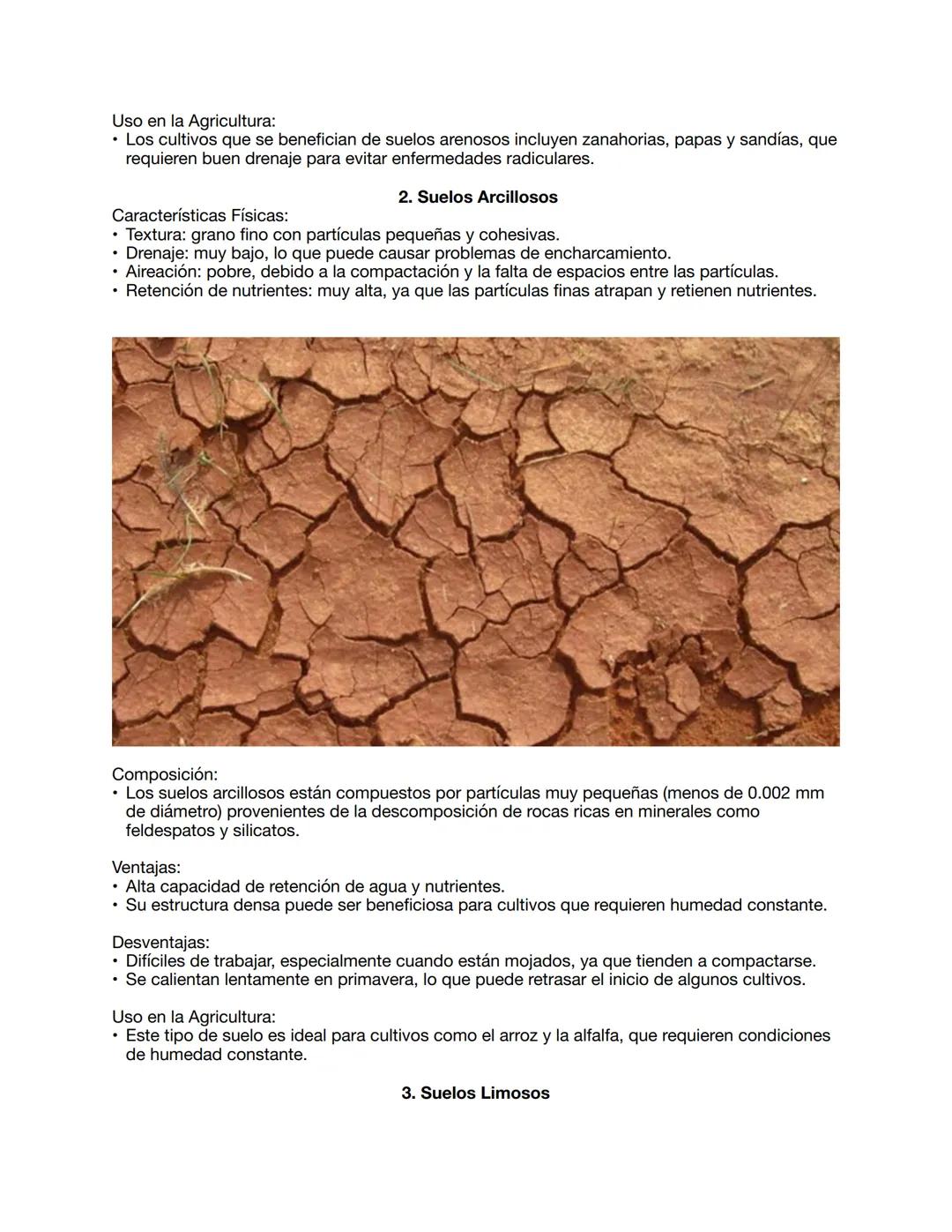CAPITULO 2: PROPIEDADES FÍSICAS, QUÍMICAS Y BIOLÓGICAS DEL SUELO
PROPIEDADES FISICAS
Tarea 1: Investigar las características de los suelos
