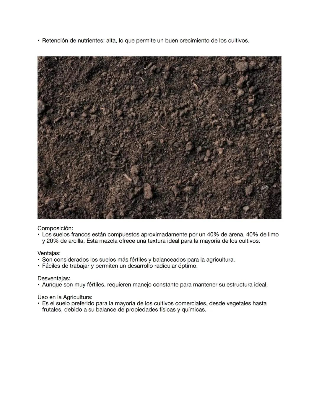 CAPITULO 2: PROPIEDADES FÍSICAS, QUÍMICAS Y BIOLÓGICAS DEL SUELO
PROPIEDADES FISICAS
Tarea 1: Investigar las características de los suelos