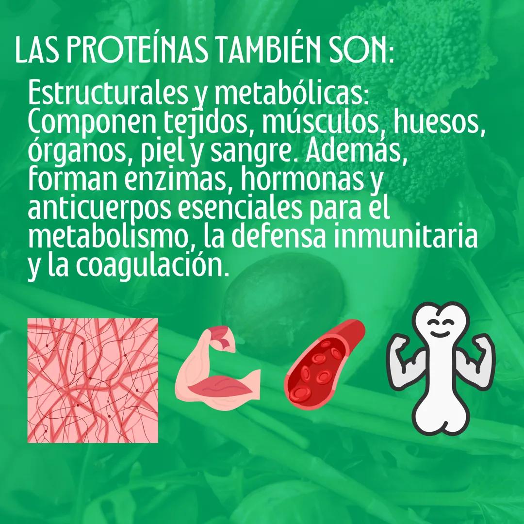 # Proteinas
Macronutriente
@studynutrifocus Las proteínas son moléculas únicas con
nitrógeno, formadas por aminoácidos
que contienen nitró