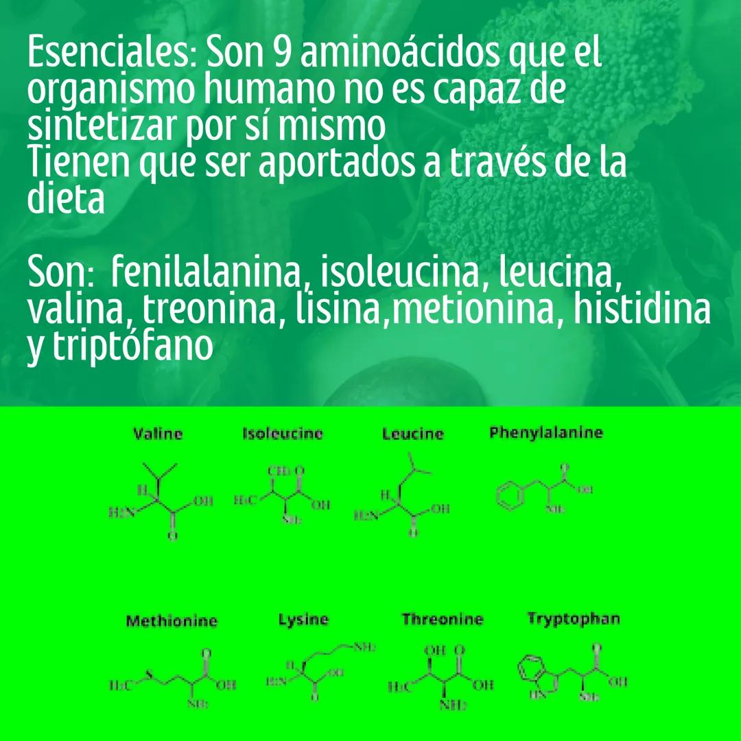 # Proteinas
Macronutriente
@studynutrifocus Las proteínas son moléculas únicas con
nitrógeno, formadas por aminoácidos
que contienen nitró