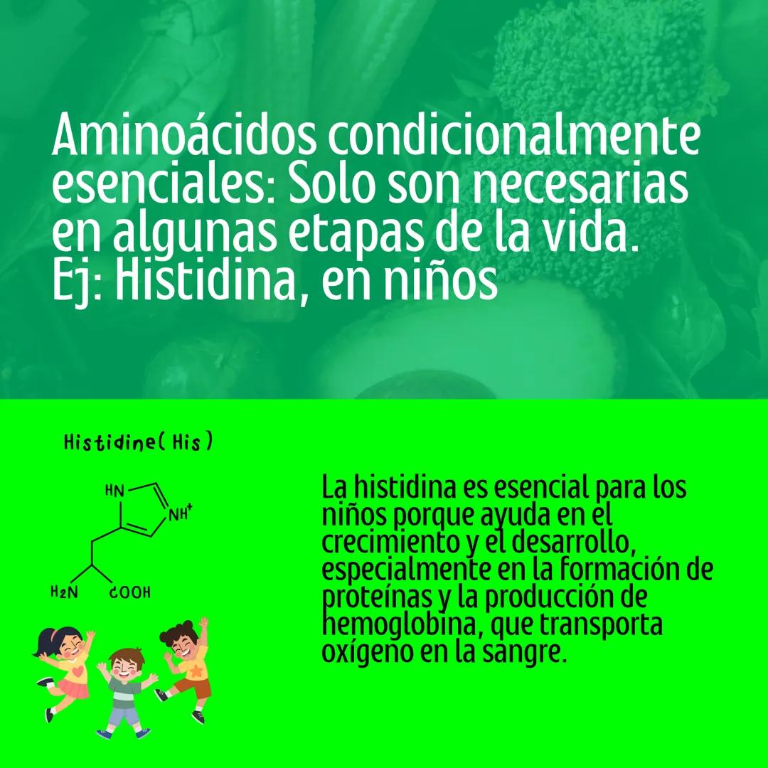 # Proteinas
Macronutriente
@studynutrifocus Las proteínas son moléculas únicas con
nitrógeno, formadas por aminoácidos
que contienen nitró