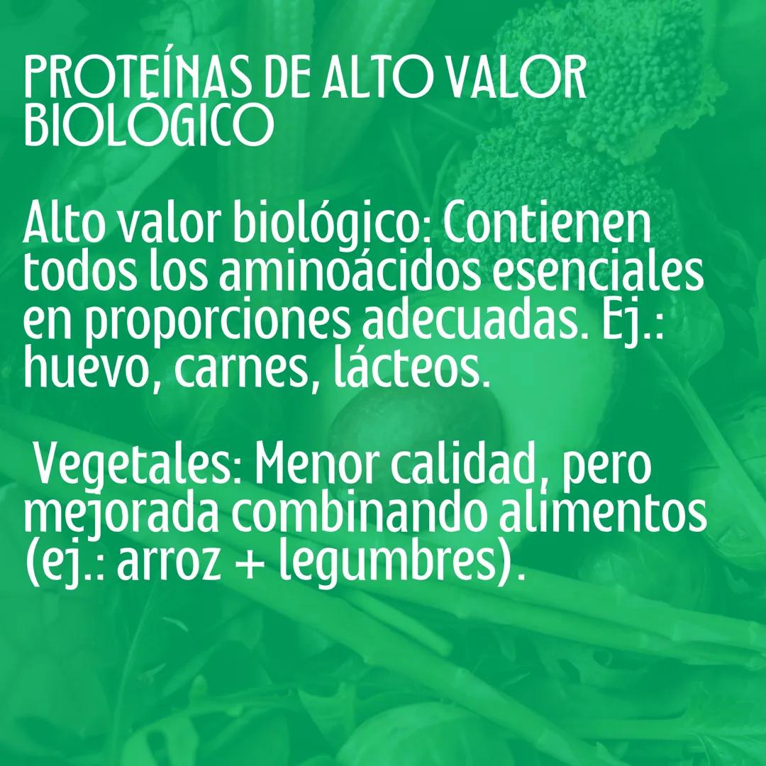 # Proteinas
Macronutriente
@studynutrifocus Las proteínas son moléculas únicas con
nitrógeno, formadas por aminoácidos
que contienen nitró