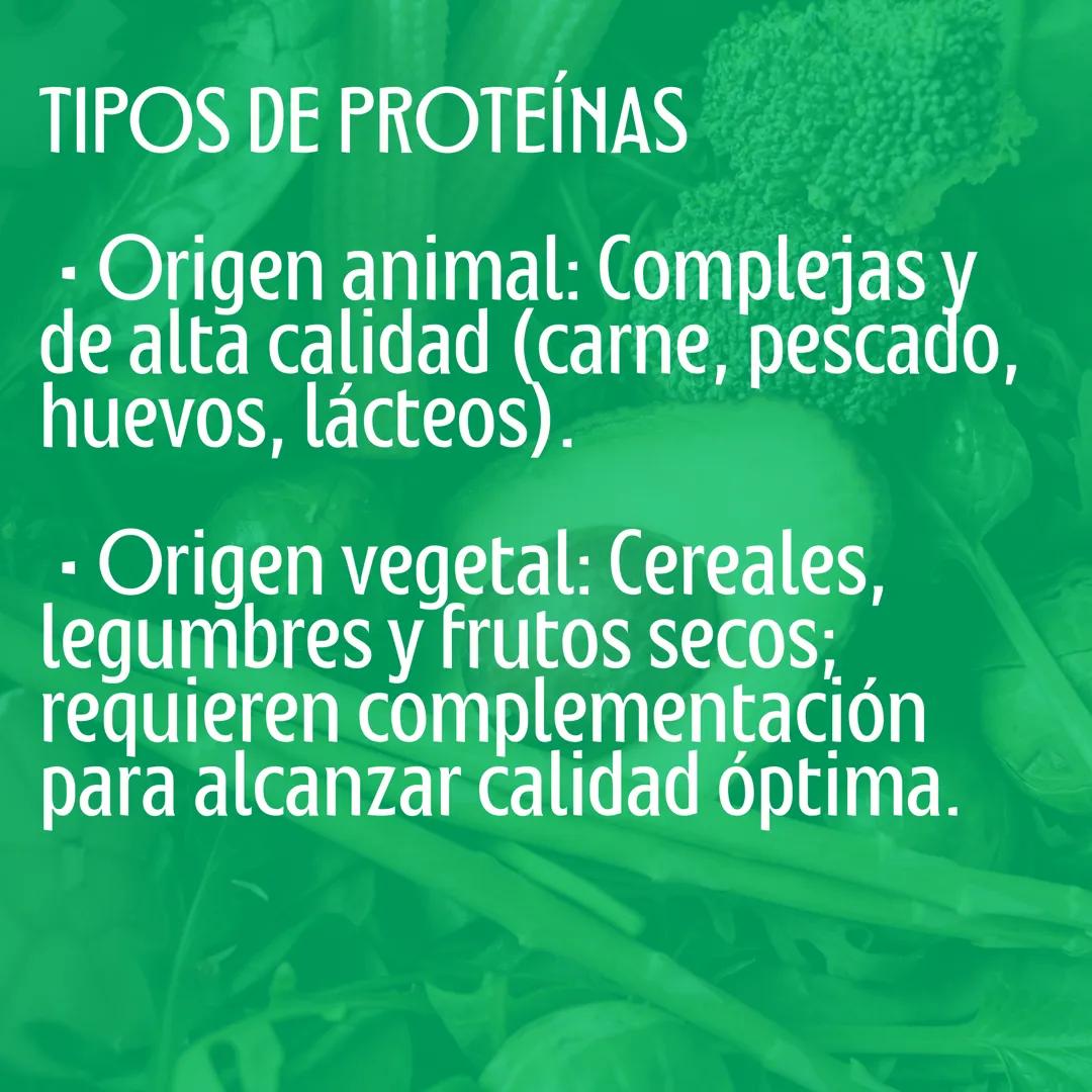 # Proteinas
Macronutriente
@studynutrifocus Las proteínas son moléculas únicas con
nitrógeno, formadas por aminoácidos
que contienen nitró