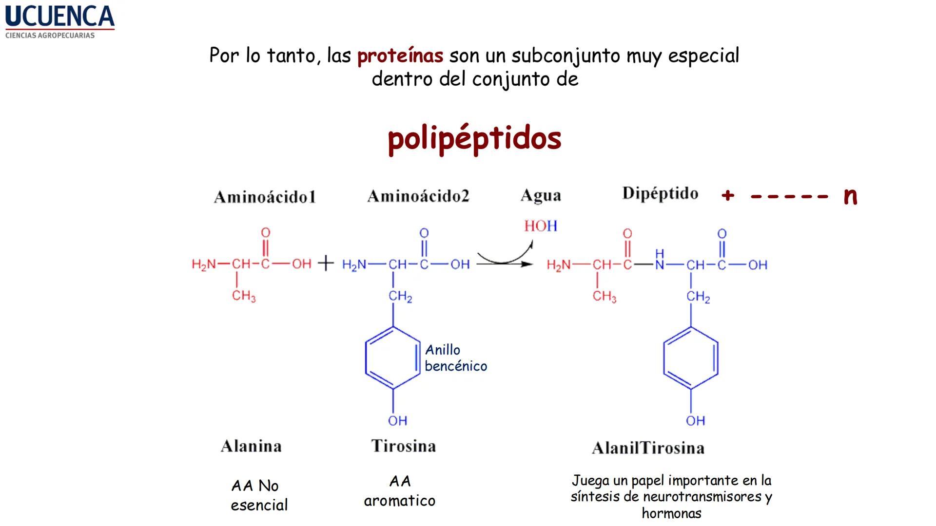UCUENCA
CIENCIAS AGROPECUARIAS
FACULTAD DE CIENCIAS AGROPECUARIAS
CARRERA DE MEDICINA VETERINARIA
BIOQUÍMICA I
FONS VITA CRUDITIO POSSID