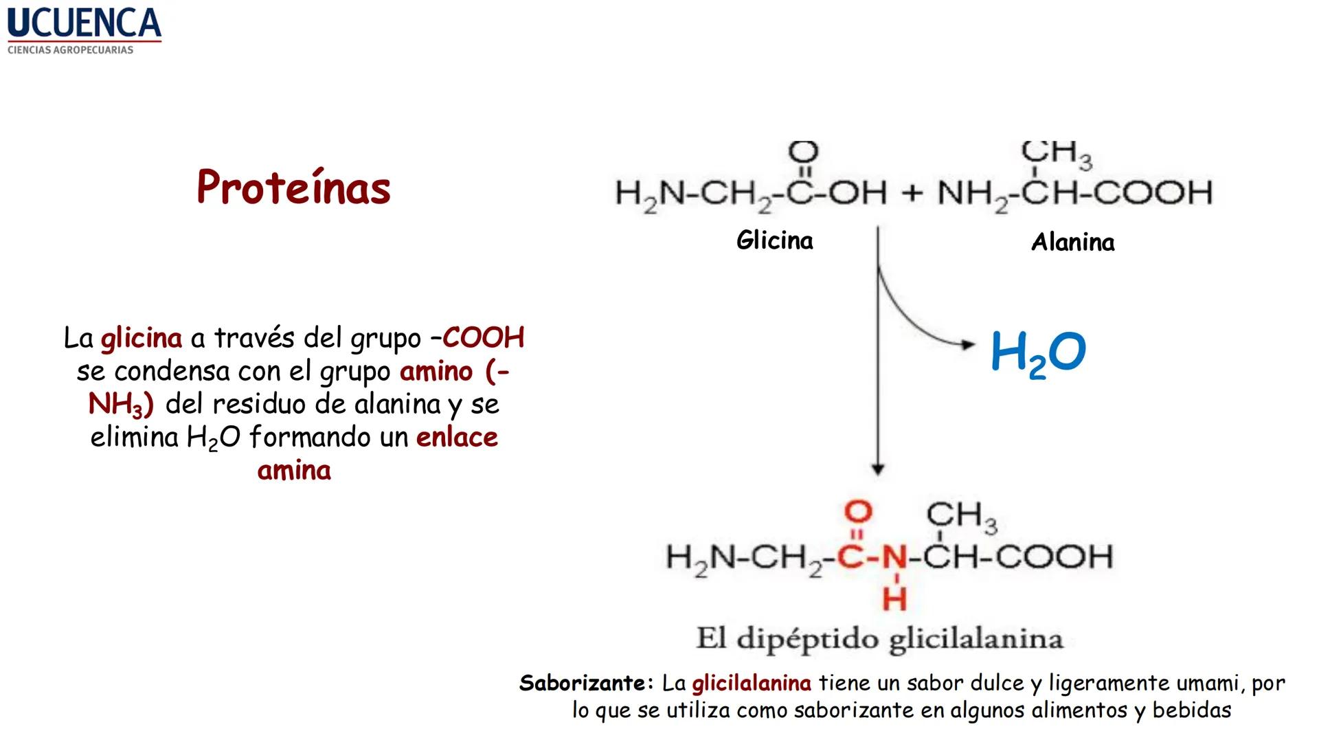 UCUENCA
CIENCIAS AGROPECUARIAS
FACULTAD DE CIENCIAS AGROPECUARIAS
CARRERA DE MEDICINA VETERINARIA
BIOQUÍMICA I
FONS VITA CRUDITIO POSSID