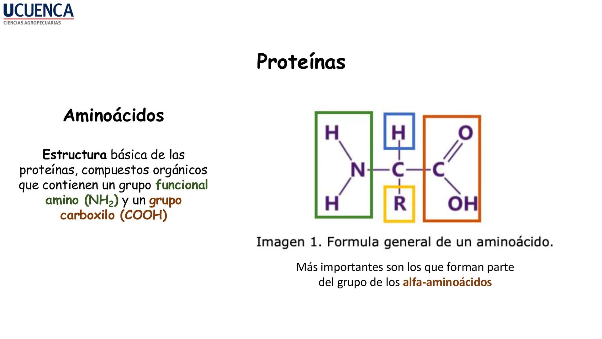 UCUENCA
CIENCIAS AGROPECUARIAS
FACULTAD DE CIENCIAS AGROPECUARIAS
CARRERA DE MEDICINA VETERINARIA
BIOQUÍMICA I
FONS VITA CRUDITIO POSSID