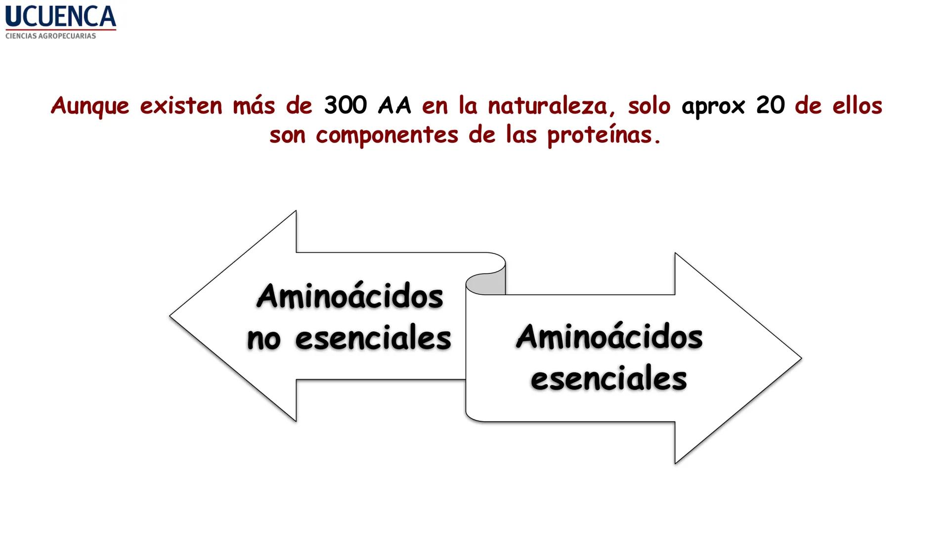 UCUENCA
CIENCIAS AGROPECUARIAS
FACULTAD DE CIENCIAS AGROPECUARIAS
CARRERA DE MEDICINA VETERINARIA
BIOQUÍMICA I
FONS VITA CRUDITIO POSSID