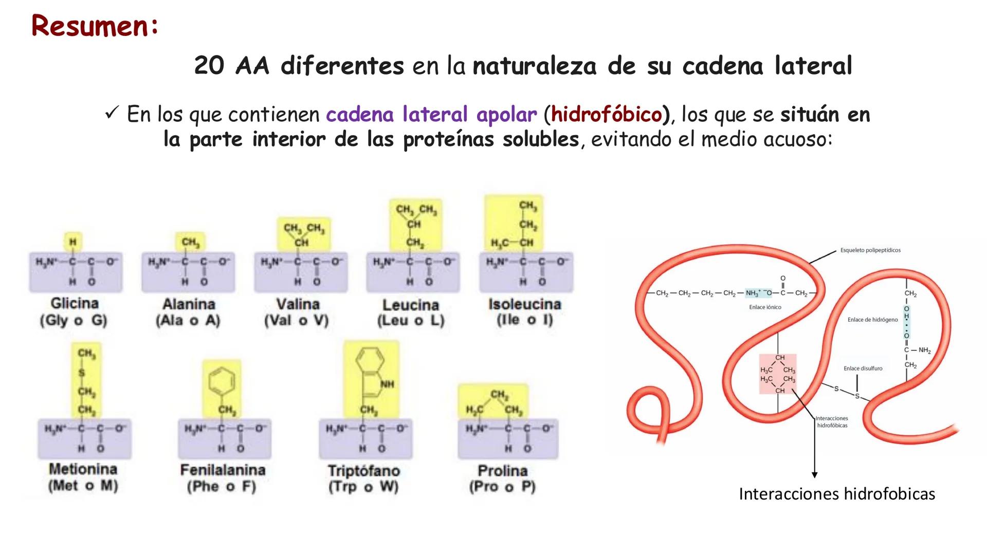 UCUENCA
CIENCIAS AGROPECUARIAS
FACULTAD DE CIENCIAS AGROPECUARIAS
CARRERA DE MEDICINA VETERINARIA
BIOQUÍMICA I
FONS VITA CRUDITIO POSSID