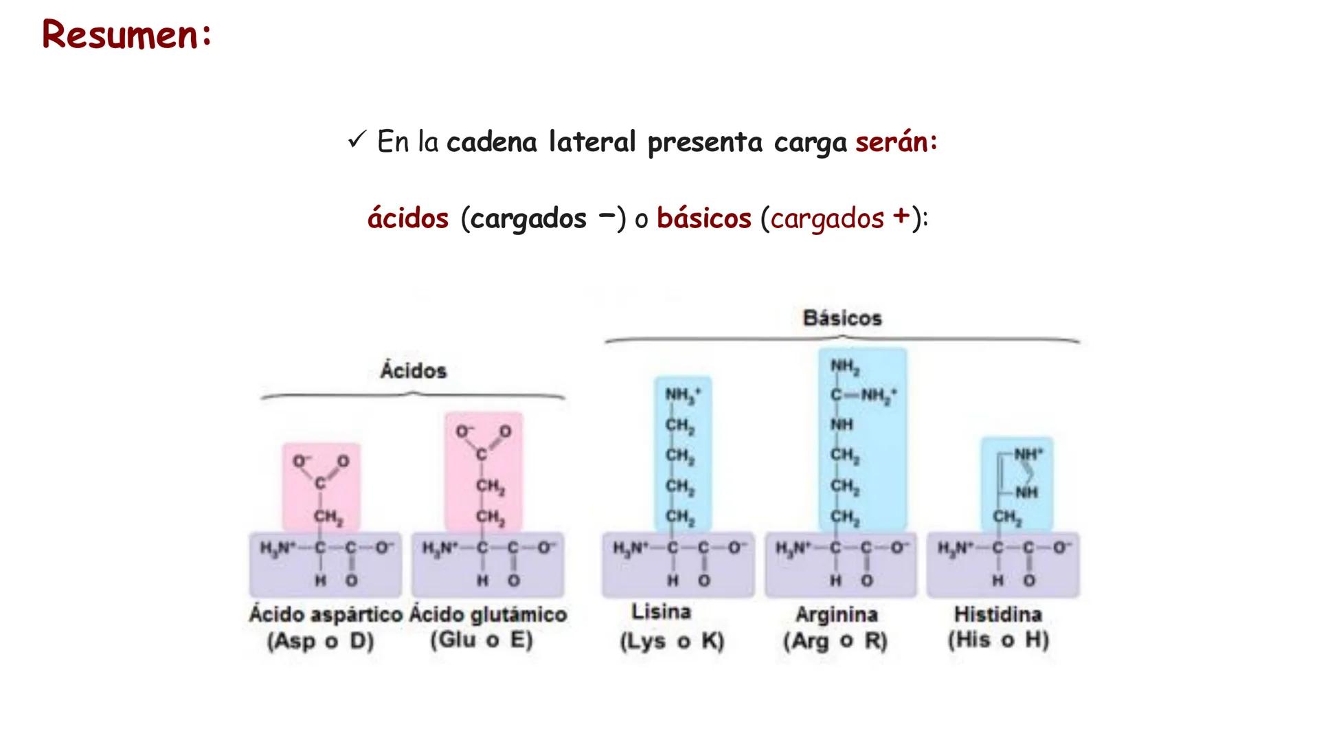 UCUENCA
CIENCIAS AGROPECUARIAS
FACULTAD DE CIENCIAS AGROPECUARIAS
CARRERA DE MEDICINA VETERINARIA
BIOQUÍMICA I
FONS VITA CRUDITIO POSSID
