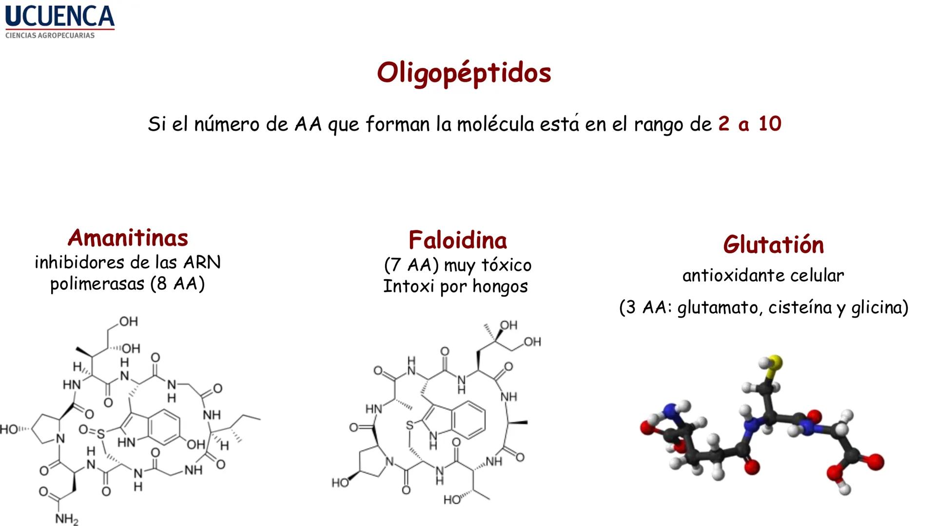 UCUENCA
CIENCIAS AGROPECUARIAS
FACULTAD DE CIENCIAS AGROPECUARIAS
CARRERA DE MEDICINA VETERINARIA
BIOQUÍMICA I
FONS VITA CRUDITIO POSSID