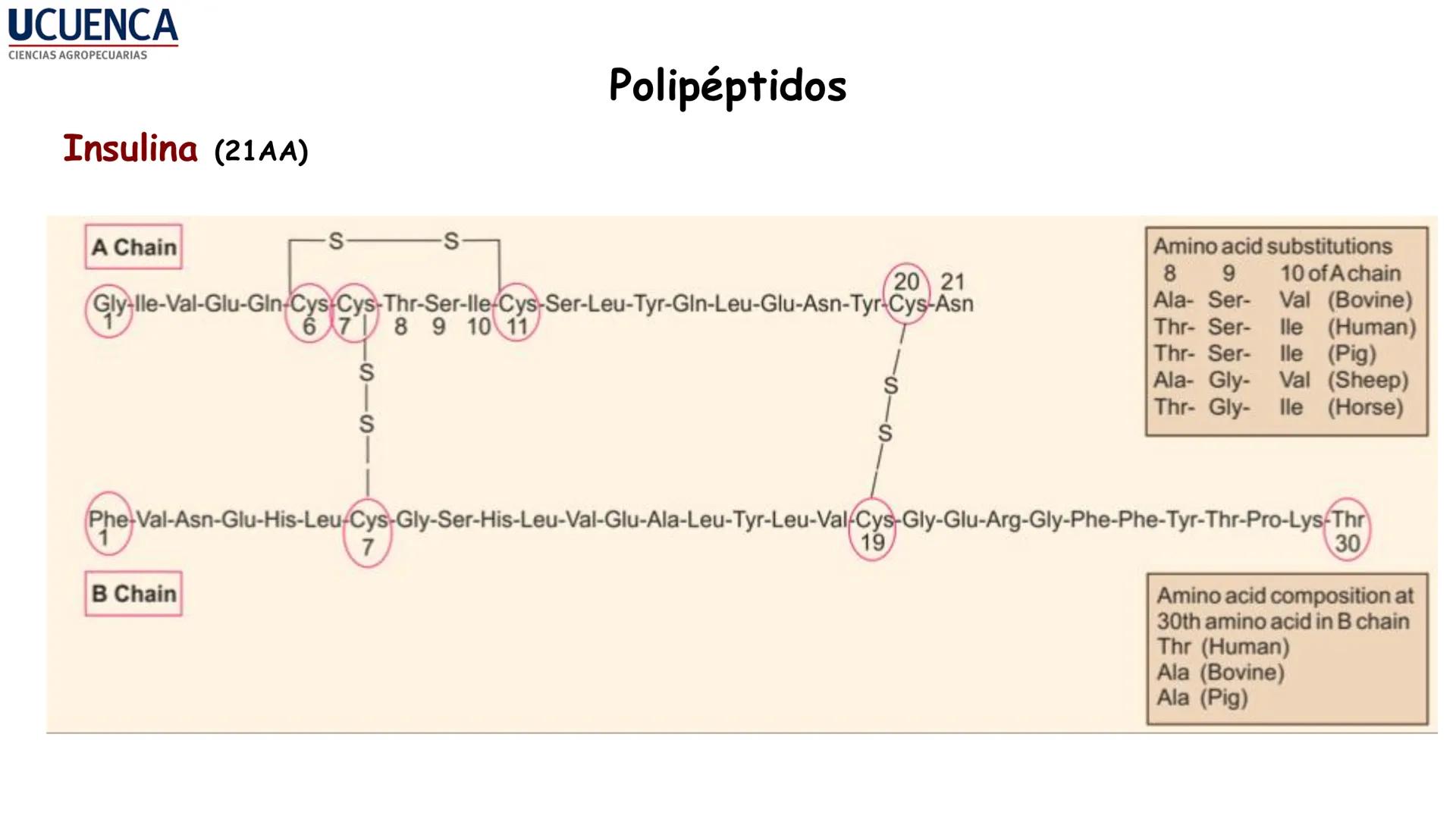 UCUENCA
CIENCIAS AGROPECUARIAS
FACULTAD DE CIENCIAS AGROPECUARIAS
CARRERA DE MEDICINA VETERINARIA
BIOQUÍMICA I
FONS VITA CRUDITIO POSSID