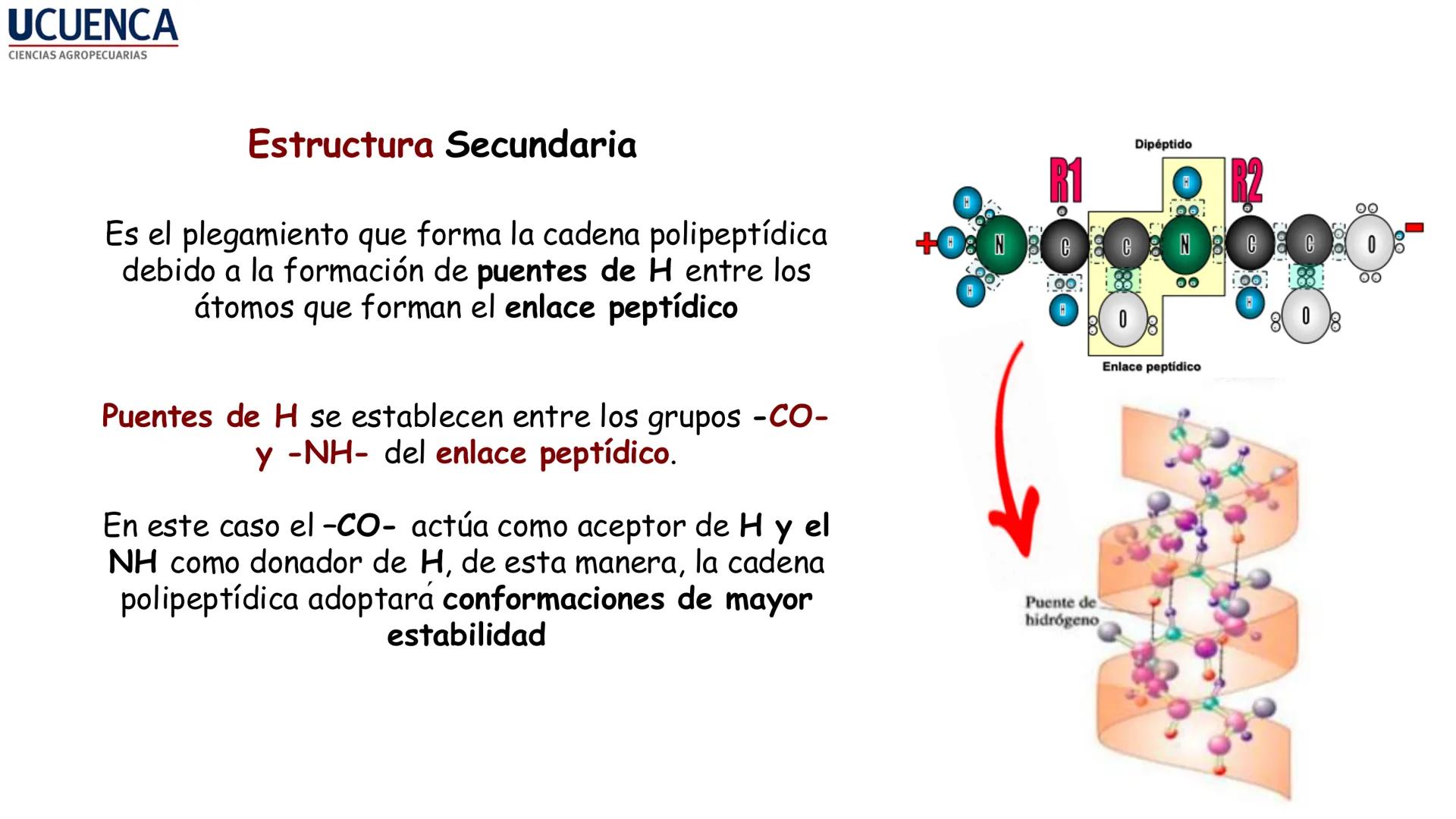 UCUENCA
CIENCIAS AGROPECUARIAS
FACULTAD DE CIENCIAS AGROPECUARIAS
CARRERA DE MEDICINA VETERINARIA
BIOQUÍMICA I
FONS VITA CRUDITIO POSSID