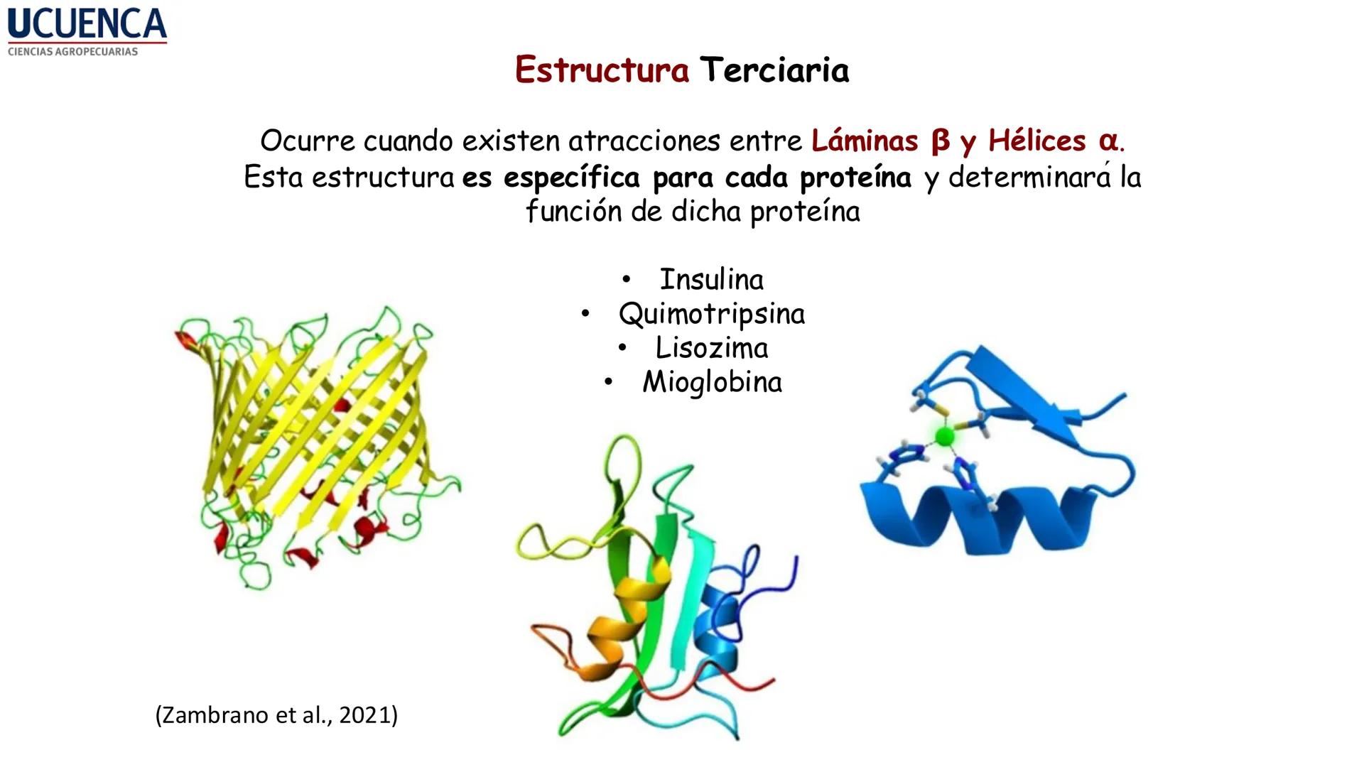 UCUENCA
CIENCIAS AGROPECUARIAS
FACULTAD DE CIENCIAS AGROPECUARIAS
CARRERA DE MEDICINA VETERINARIA
BIOQUÍMICA I
FONS VITA CRUDITIO POSSID