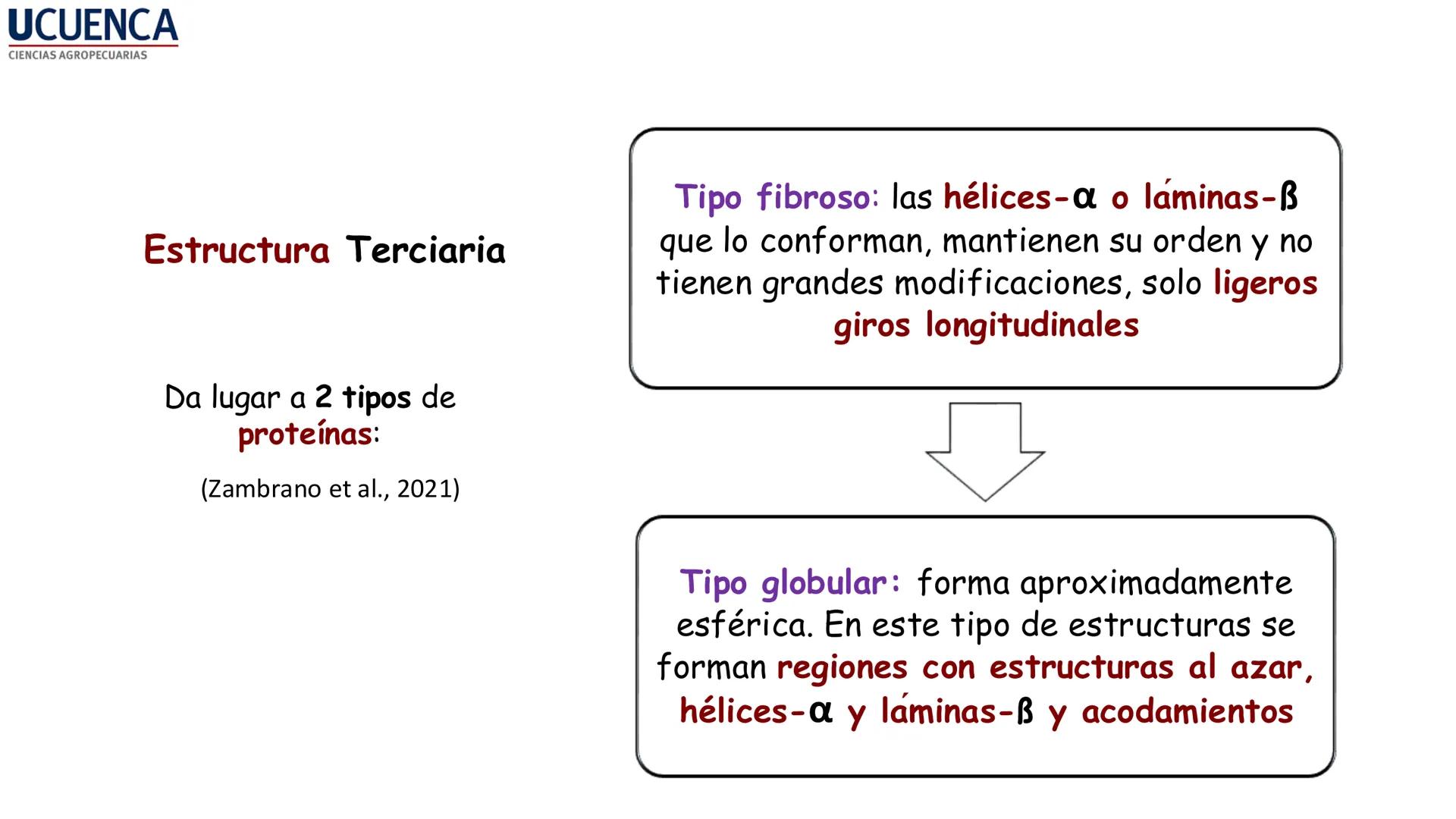UCUENCA
CIENCIAS AGROPECUARIAS
FACULTAD DE CIENCIAS AGROPECUARIAS
CARRERA DE MEDICINA VETERINARIA
BIOQUÍMICA I
FONS VITA CRUDITIO POSSID