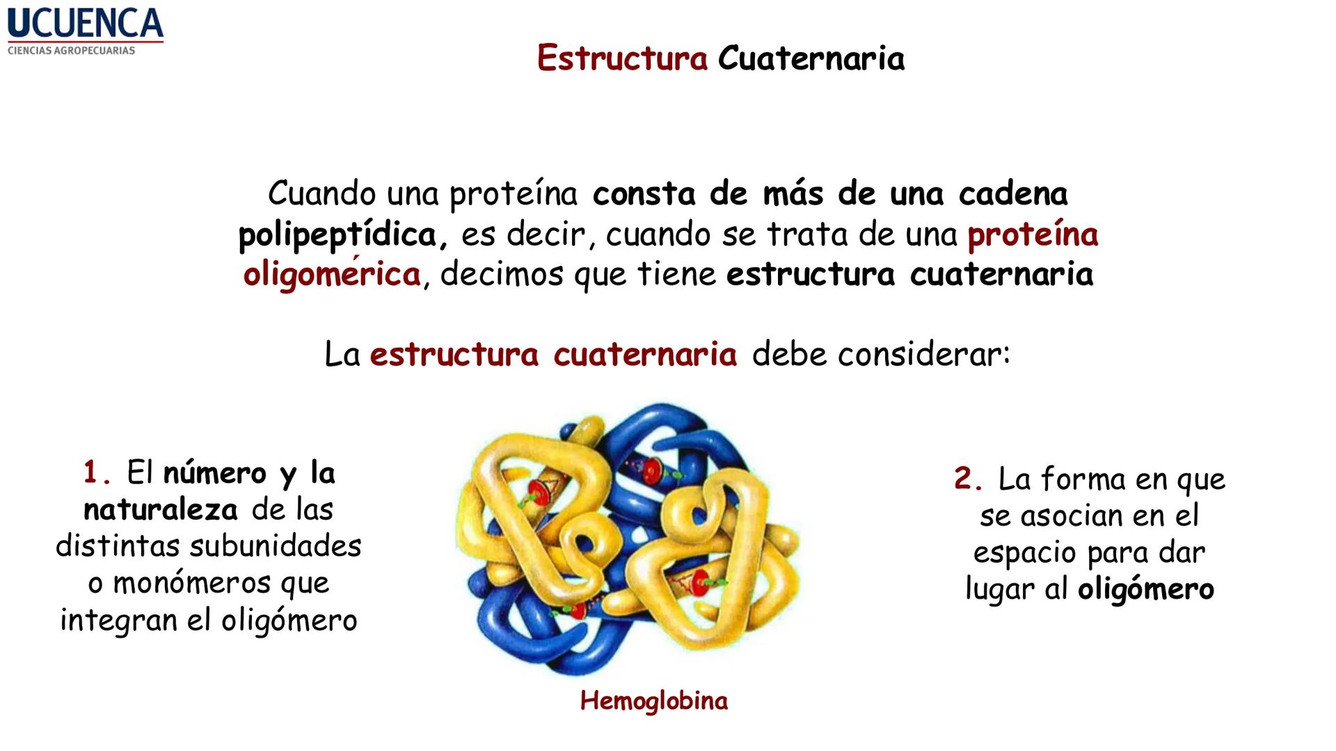 UCUENCA
CIENCIAS AGROPECUARIAS
FACULTAD DE CIENCIAS AGROPECUARIAS
CARRERA DE MEDICINA VETERINARIA
BIOQUÍMICA I
FONS VITA CRUDITIO POSSID