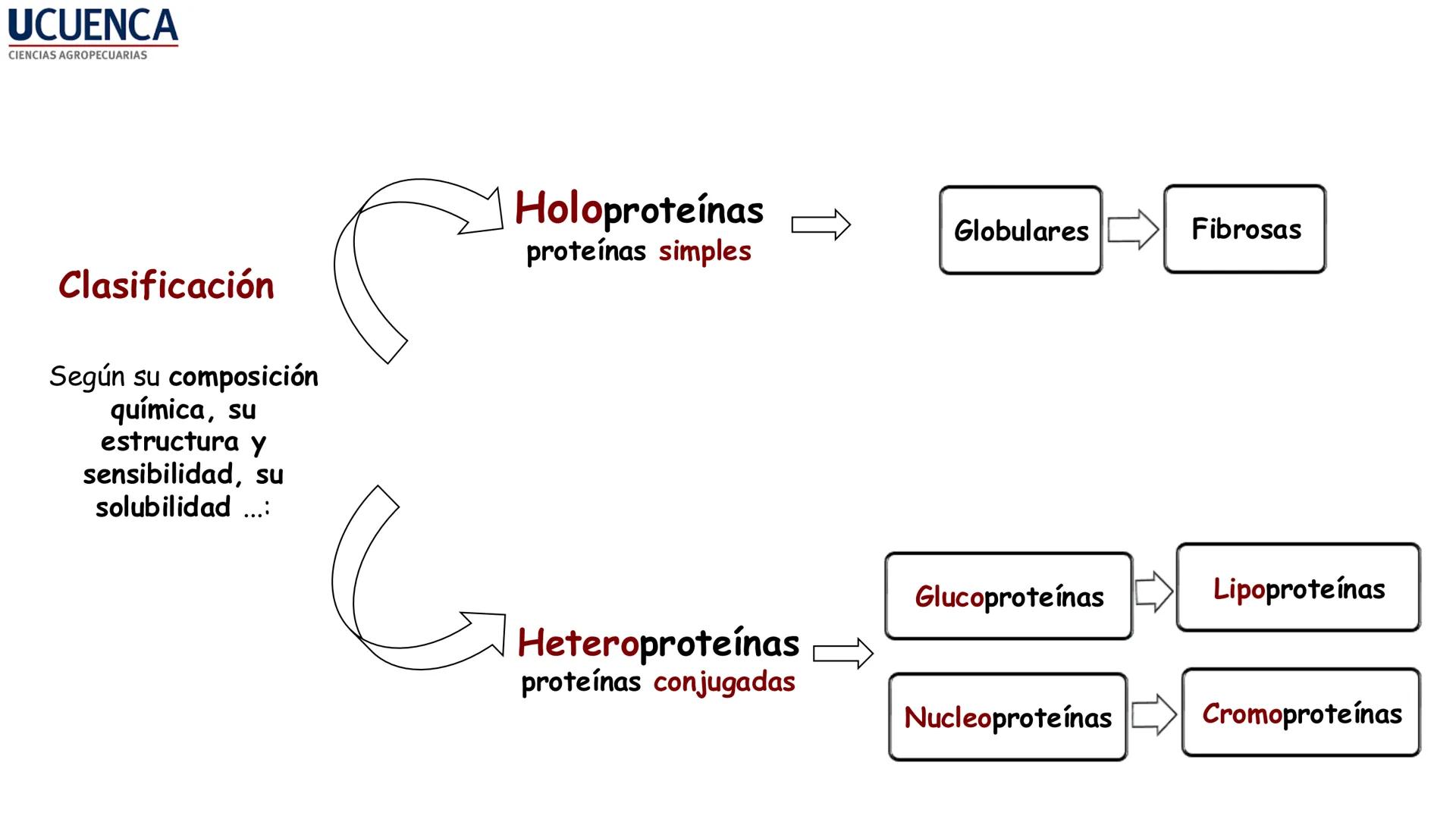 UCUENCA
CIENCIAS AGROPECUARIAS
FACULTAD DE CIENCIAS AGROPECUARIAS
CARRERA DE MEDICINA VETERINARIA
BIOQUÍMICA I
FONS VITA CRUDITIO POSSID