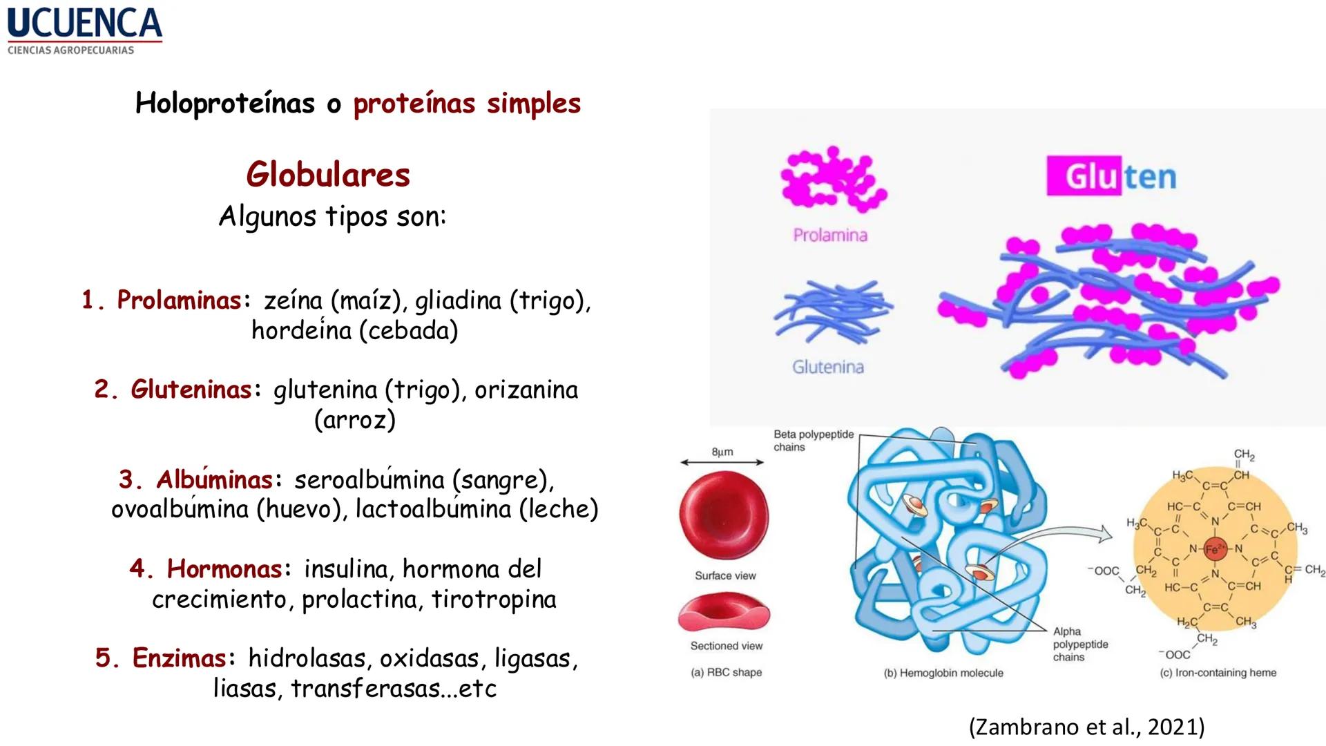 UCUENCA
CIENCIAS AGROPECUARIAS
FACULTAD DE CIENCIAS AGROPECUARIAS
CARRERA DE MEDICINA VETERINARIA
BIOQUÍMICA I
FONS VITA CRUDITIO POSSID