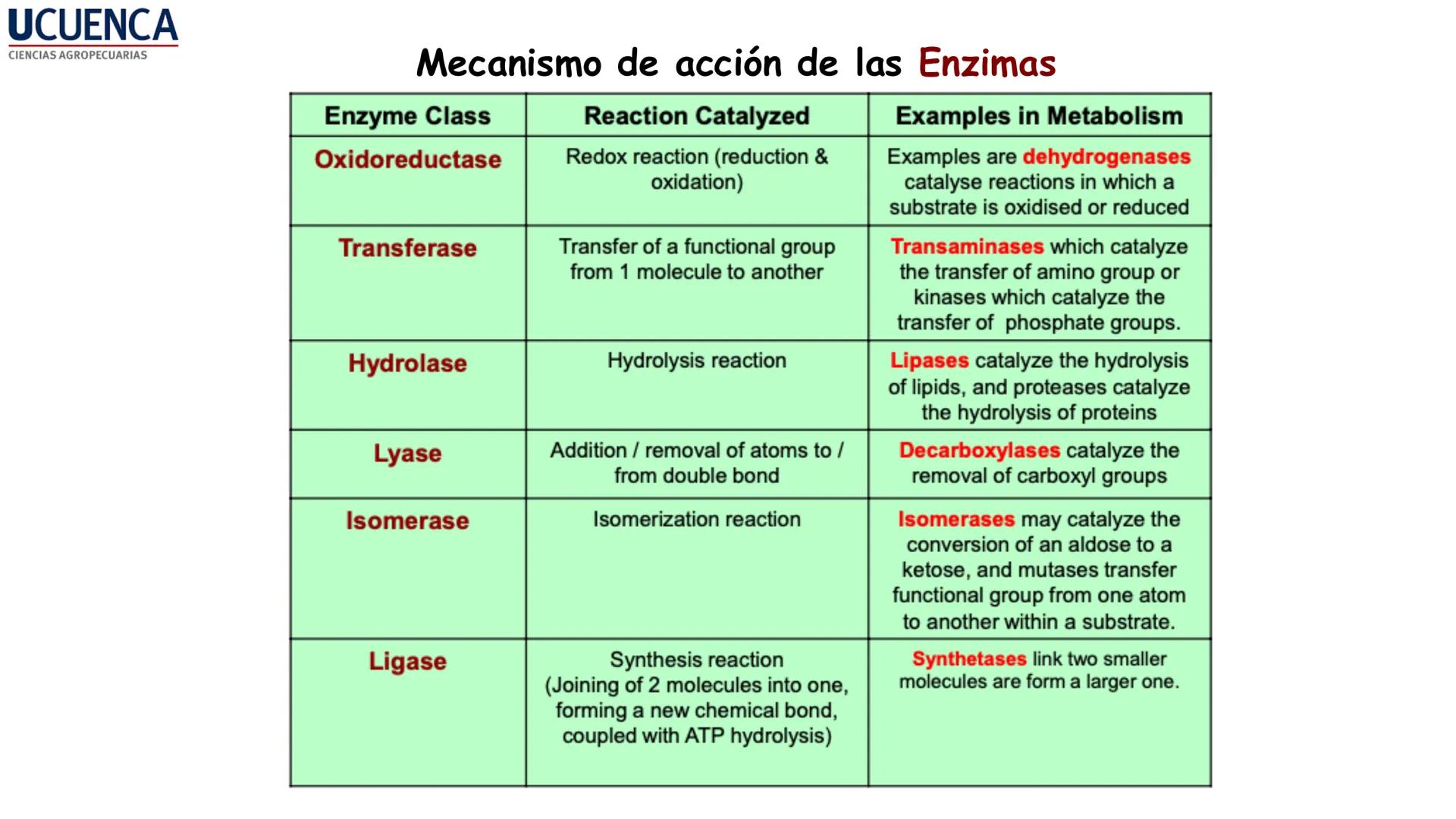 UCUENCA
CIENCIAS AGROPECUARIAS
FACULTAD DE CIENCIAS AGROPECUARIAS
CARRERA DE MEDICINA VETERINARIA
BIOQUÍMICA I
FONS VITA CRUDITIO POSSID