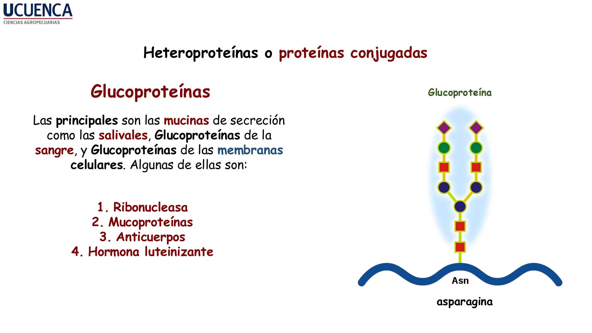 UCUENCA
CIENCIAS AGROPECUARIAS
FACULTAD DE CIENCIAS AGROPECUARIAS
CARRERA DE MEDICINA VETERINARIA
BIOQUÍMICA I
FONS VITA CRUDITIO POSSID