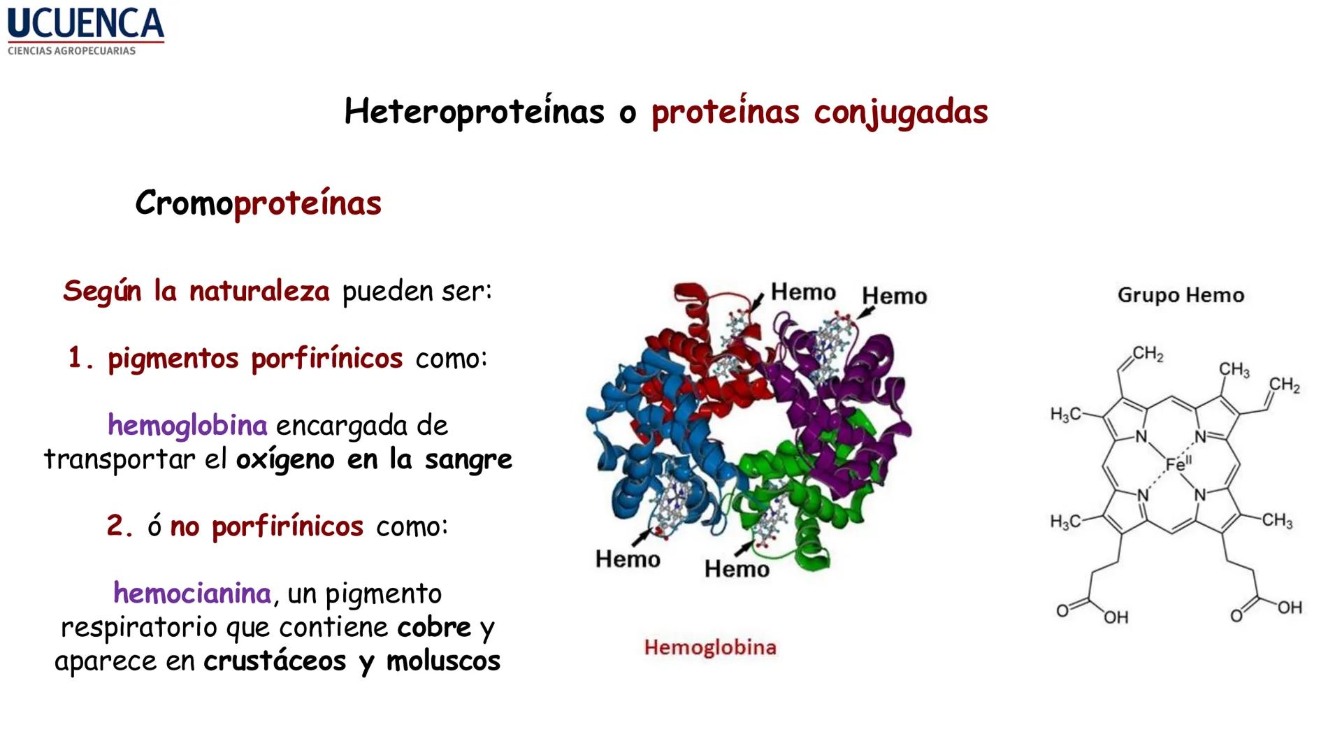 UCUENCA
CIENCIAS AGROPECUARIAS
FACULTAD DE CIENCIAS AGROPECUARIAS
CARRERA DE MEDICINA VETERINARIA
BIOQUÍMICA I
FONS VITA CRUDITIO POSSID