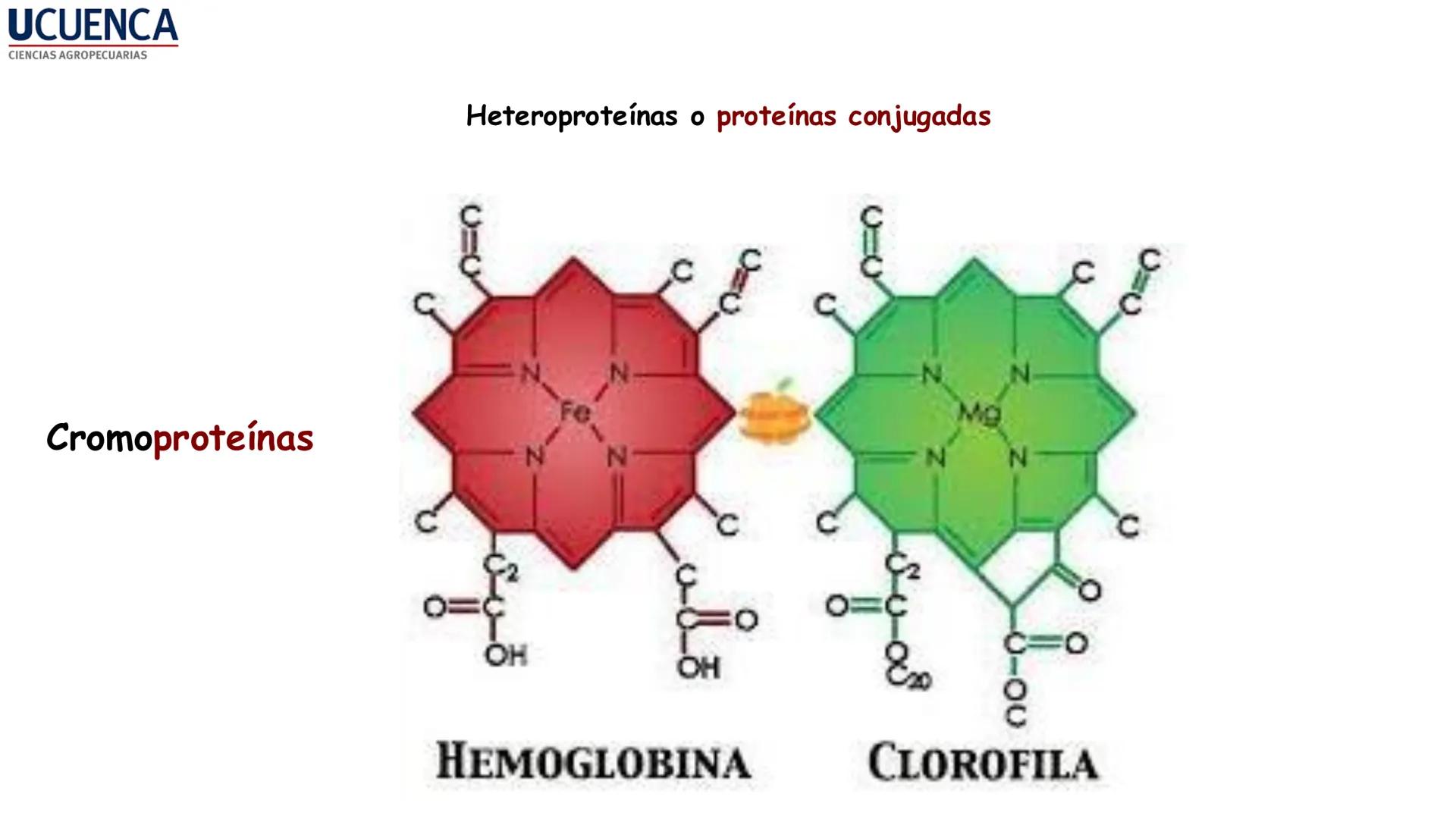 UCUENCA
CIENCIAS AGROPECUARIAS
FACULTAD DE CIENCIAS AGROPECUARIAS
CARRERA DE MEDICINA VETERINARIA
BIOQUÍMICA I
FONS VITA CRUDITIO POSSID