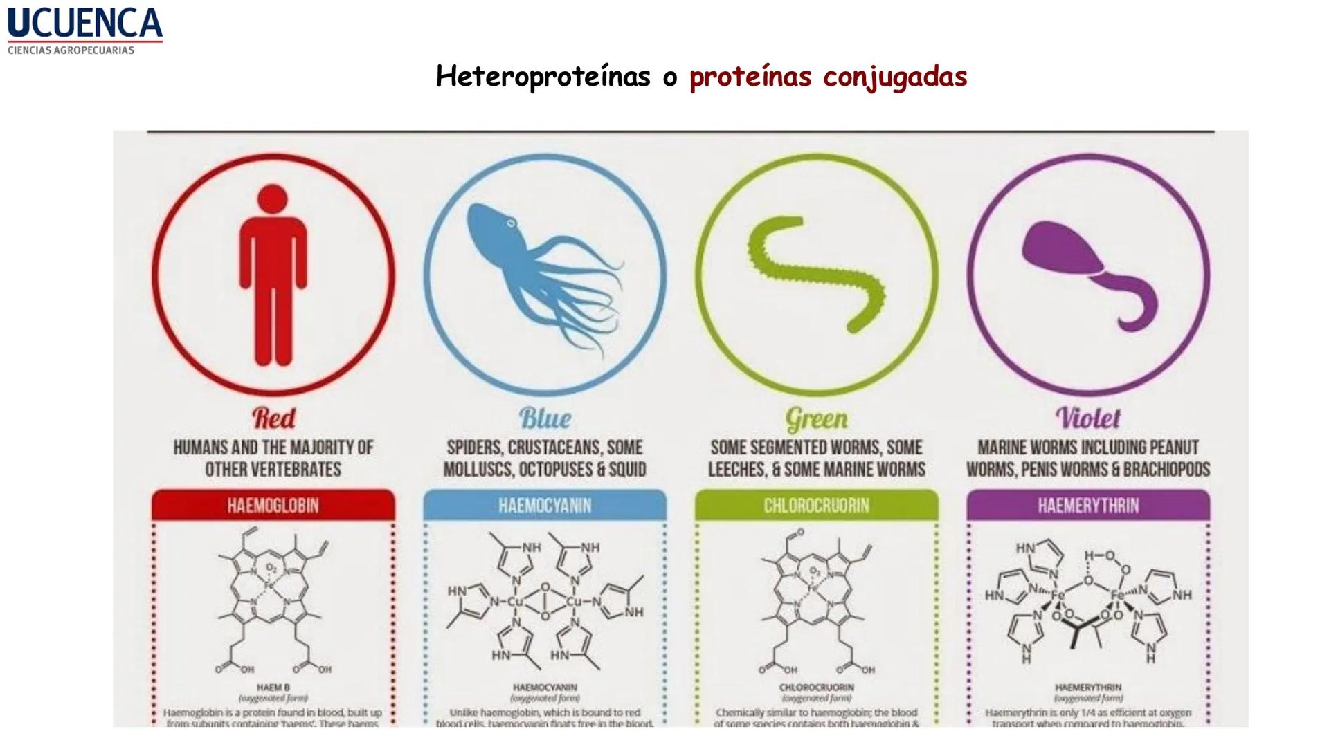 UCUENCA
CIENCIAS AGROPECUARIAS
FACULTAD DE CIENCIAS AGROPECUARIAS
CARRERA DE MEDICINA VETERINARIA
BIOQUÍMICA I
FONS VITA CRUDITIO POSSID