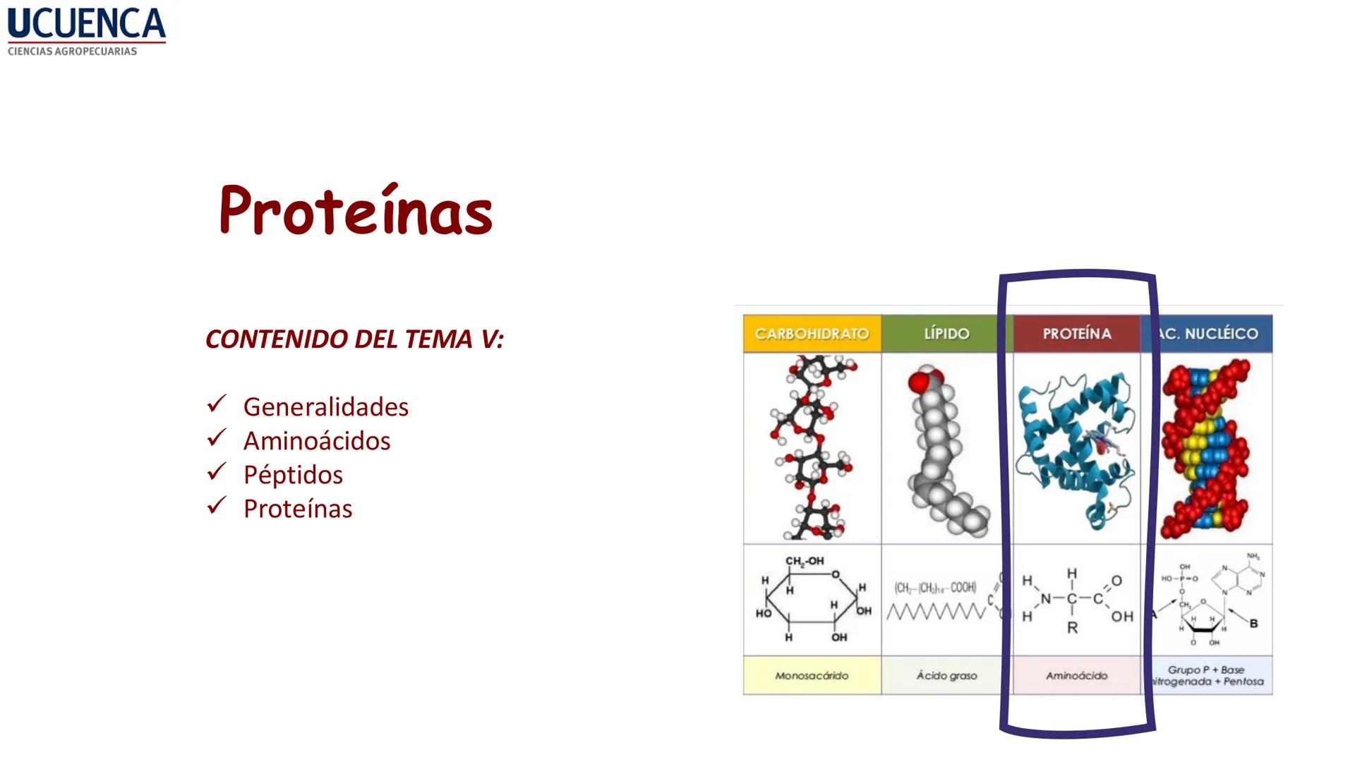 UCUENCA
CIENCIAS AGROPECUARIAS
FACULTAD DE CIENCIAS AGROPECUARIAS
CARRERA DE MEDICINA VETERINARIA
BIOQUÍMICA I
FONS VITA CRUDITIO POSSID
