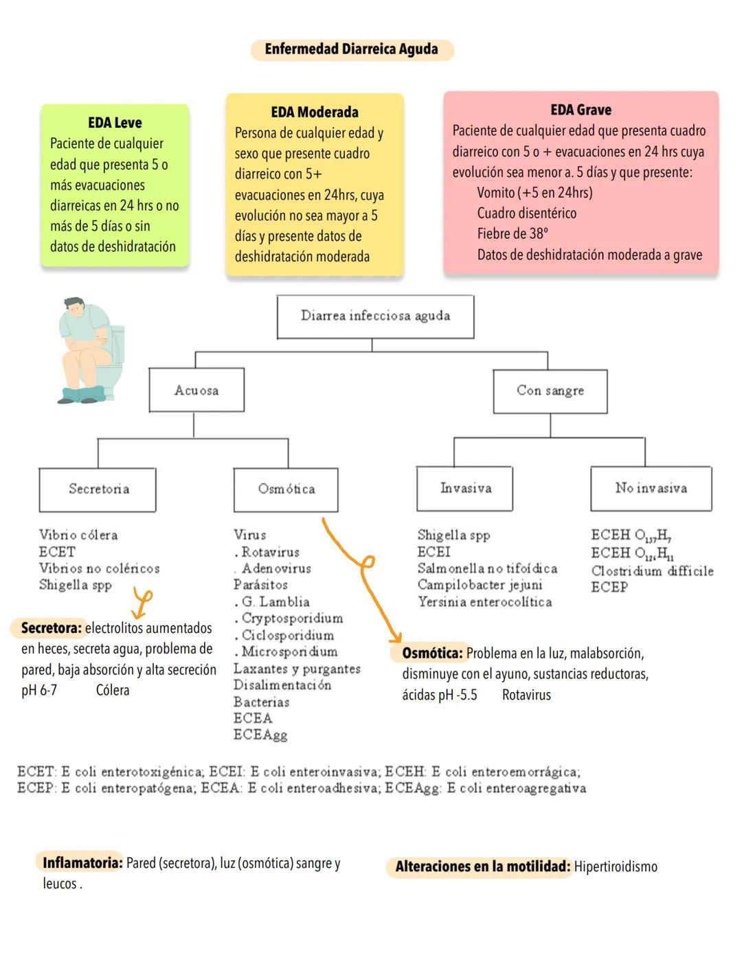# GASTROENTERITIS-
Suele deberse a una infección no inflamatoria de la porción proximal del intestino delgado o a una infección inflamatori