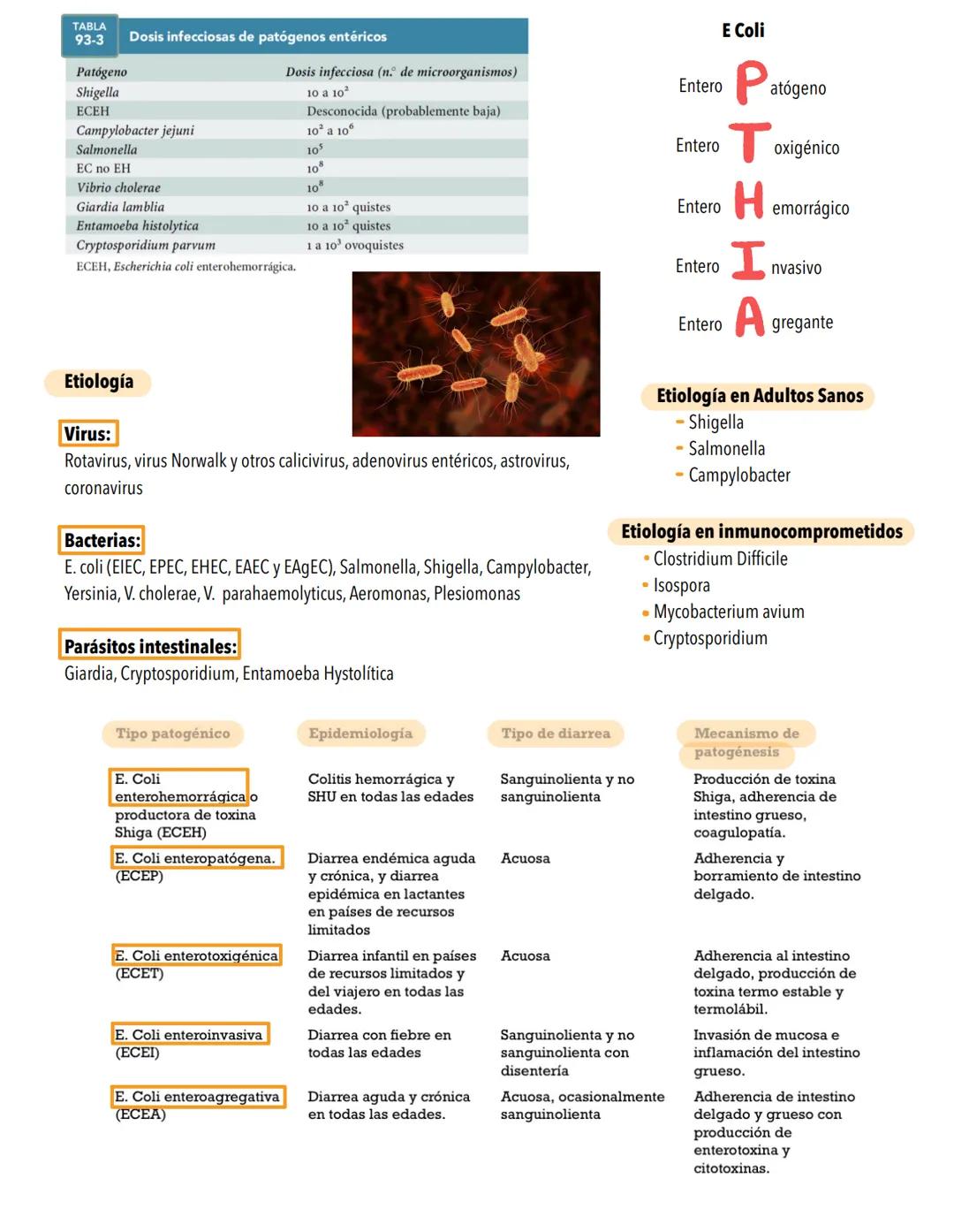 # GASTROENTERITIS-
Suele deberse a una infección no inflamatoria de la porción proximal del intestino delgado o a una infección inflamatori