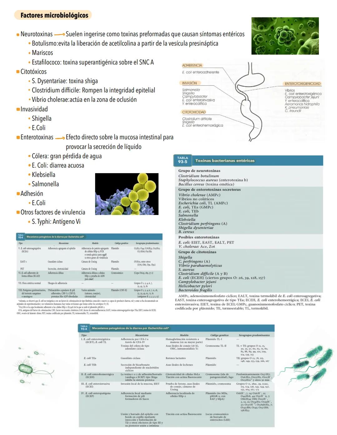 # GASTROENTERITIS-
Suele deberse a una infección no inflamatoria de la porción proximal del intestino delgado o a una infección inflamatori
