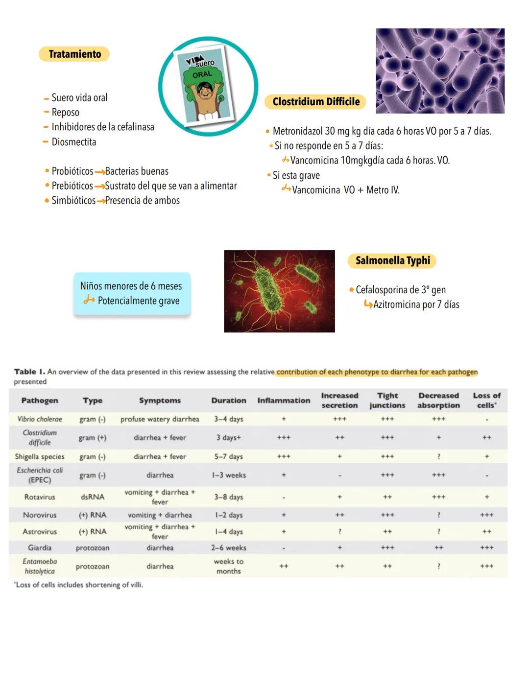 # GASTROENTERITIS-
Suele deberse a una infección no inflamatoria de la porción proximal del intestino delgado o a una infección inflamatori