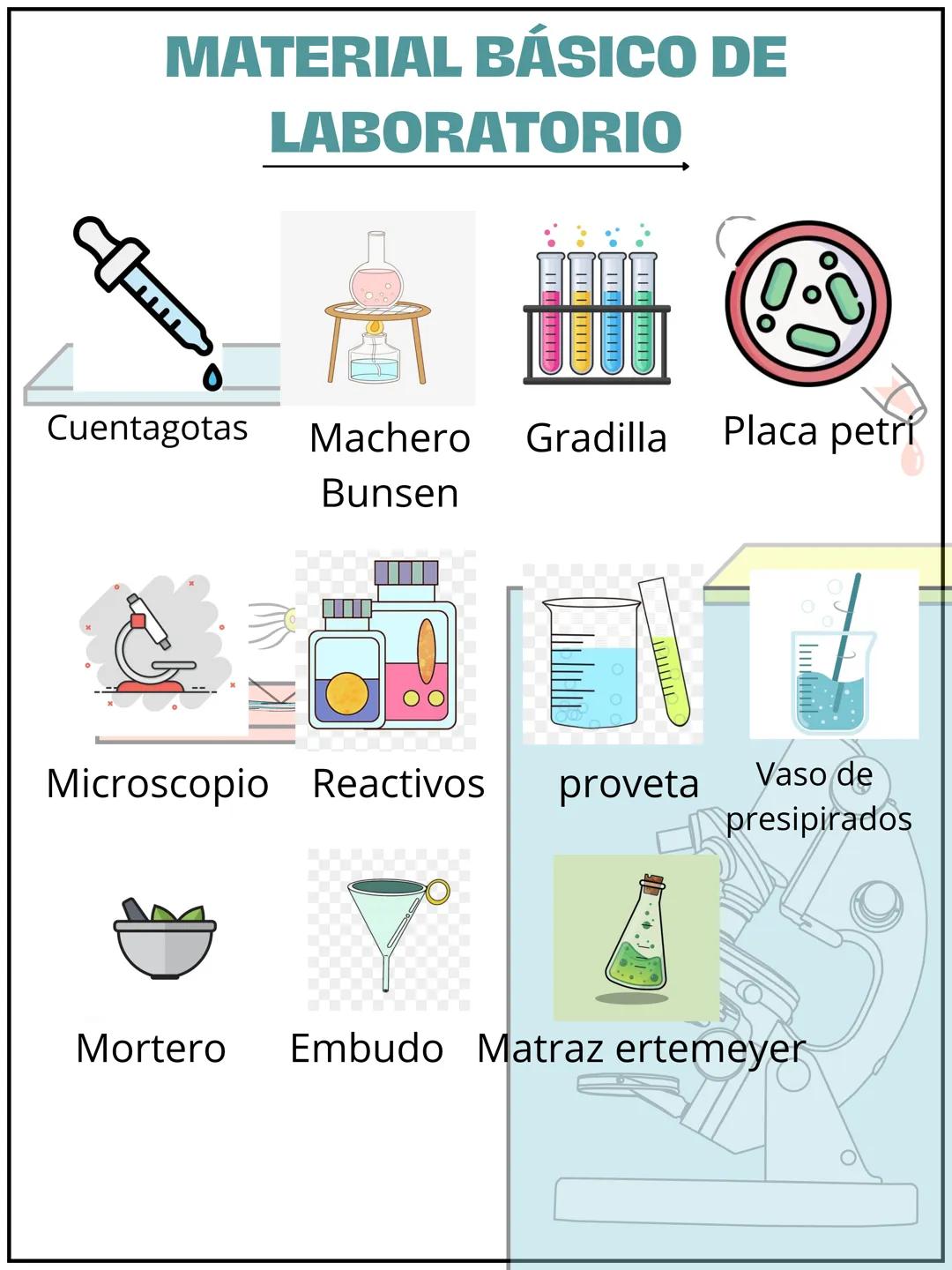 # MATERIAL BÁSICO DE
LABORATORIO
Cuentagotas Machero Gradilla Placa petri
Bunsen
Microscopio Reactivos
proveta
Vaso de
presipirados
Mort