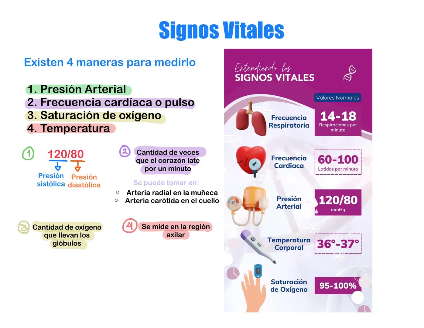 Signos Vitales
Existen 4 maneras para medirlo
1. Presión Arterial
2. Frecuencia cardíaca o pulso
3. Saturación de oxígeno
4. Temperatura
12