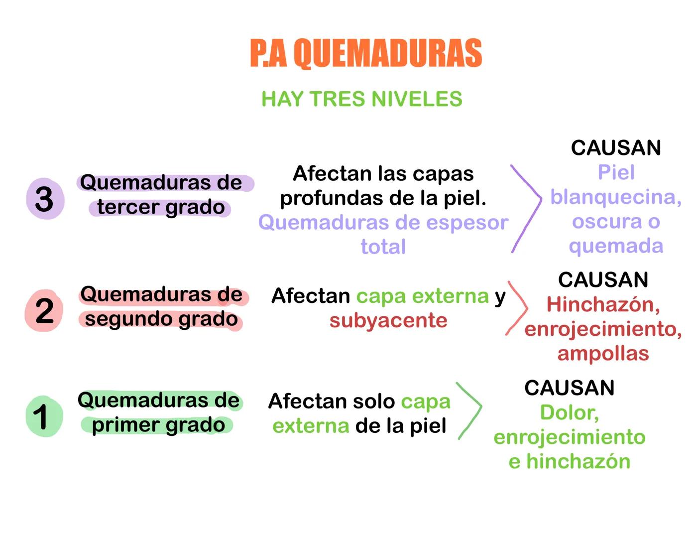 Signos Vitales
Existen 4 maneras para medirlo
1. Presión Arterial
2. Frecuencia cardíaca o pulso
3. Saturación de oxígeno
4. Temperatura
12