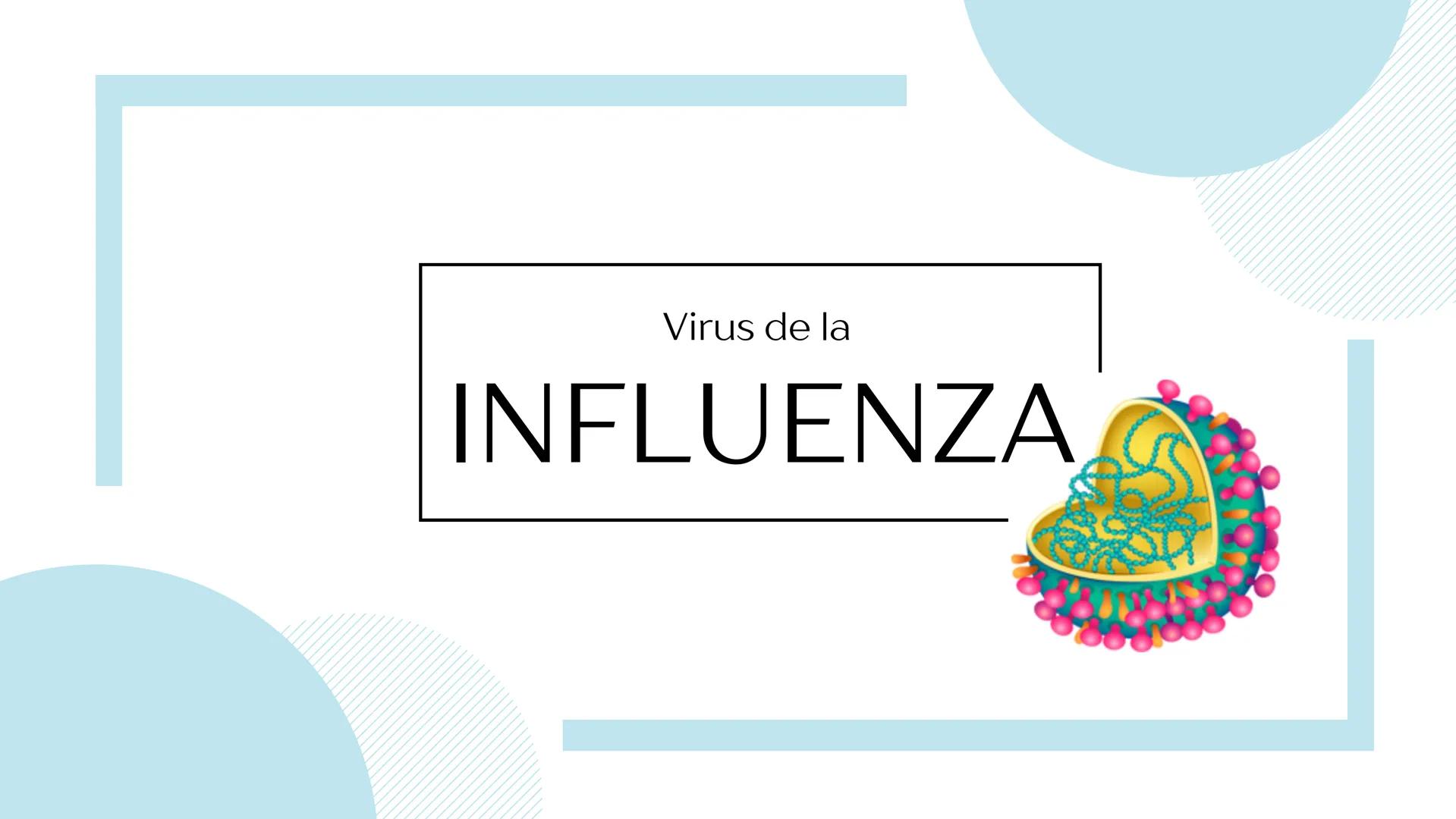 Virus de la
INFLUENZA Propiedades
microbiológicas
La influenza es causada por
virus de ARN pertenecientes a
la familia Orthomyxoviridae.
E