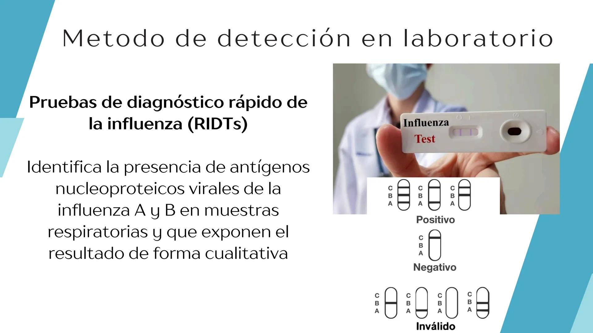 Virus de la
INFLUENZA Propiedades
microbiológicas
La influenza es causada por
virus de ARN pertenecientes a
la familia Orthomyxoviridae.
E