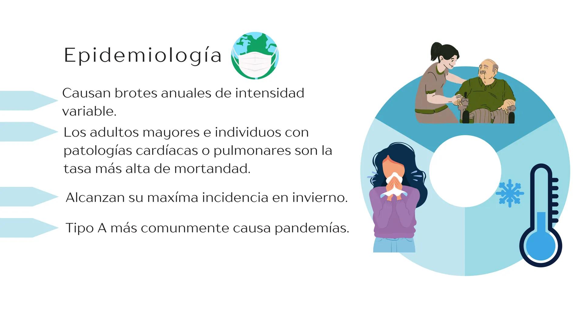 Virus de la
INFLUENZA Propiedades
microbiológicas
La influenza es causada por
virus de ARN pertenecientes a
la familia Orthomyxoviridae.
E