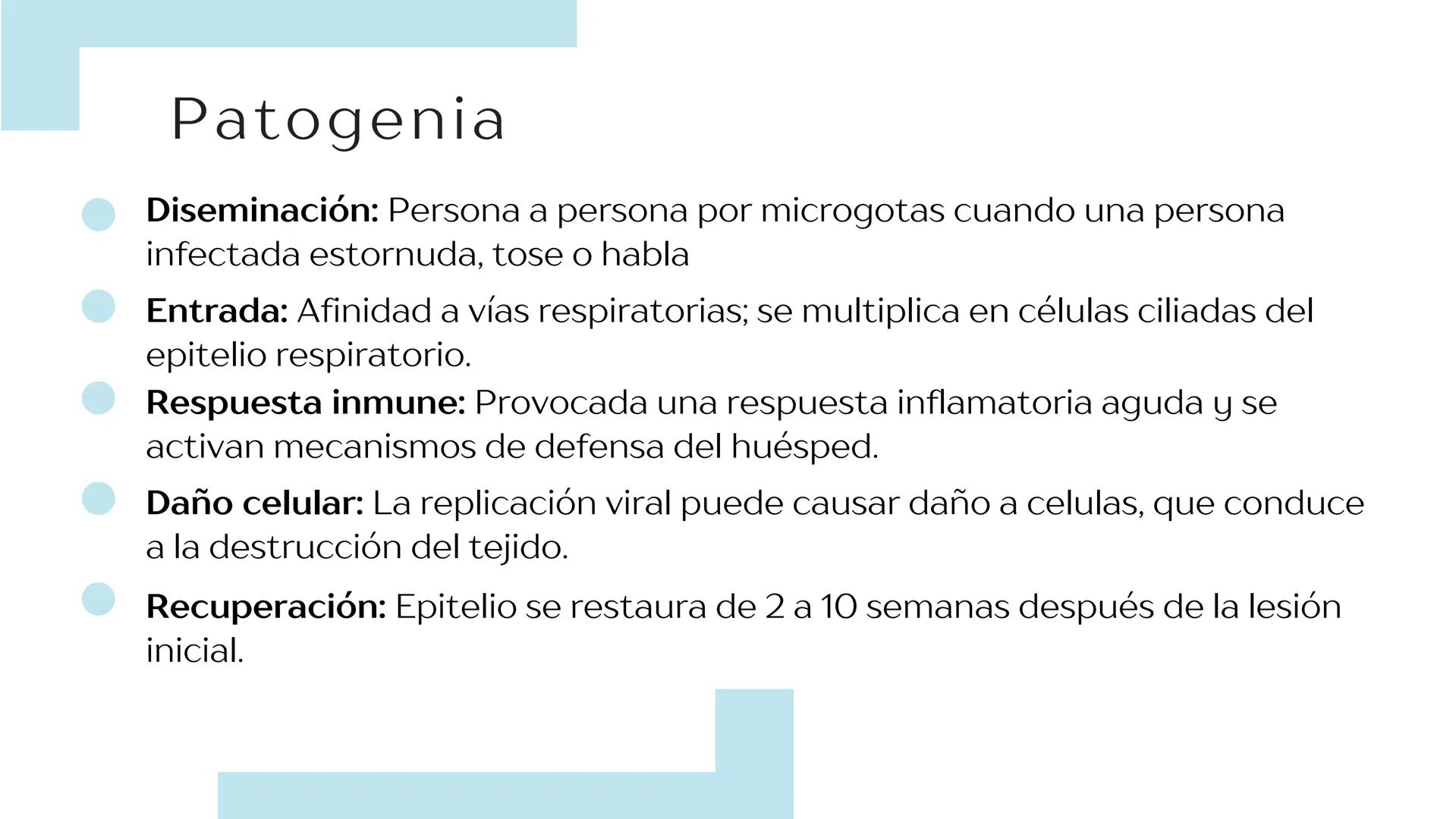 Virus de la
INFLUENZA Propiedades
microbiológicas
La influenza es causada por
virus de ARN pertenecientes a
la familia Orthomyxoviridae.
E