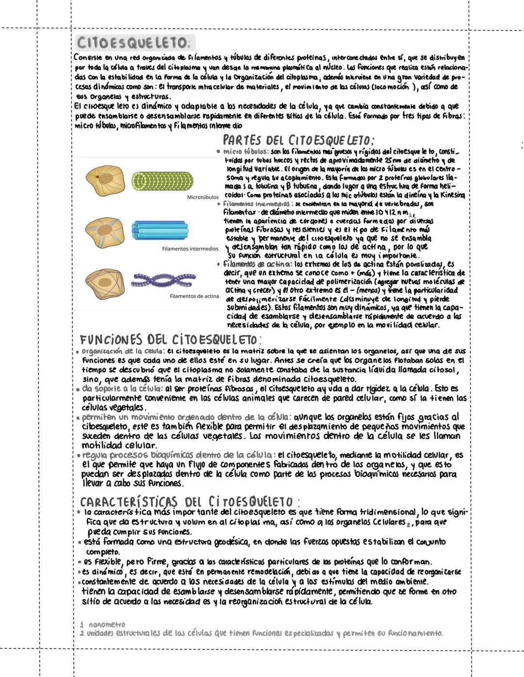 # CITOES QUE LETO:
Consiste en una red organizada de filamentos y túbulas de diferentes proteinas, inter conectadas entre sí, que se distrib