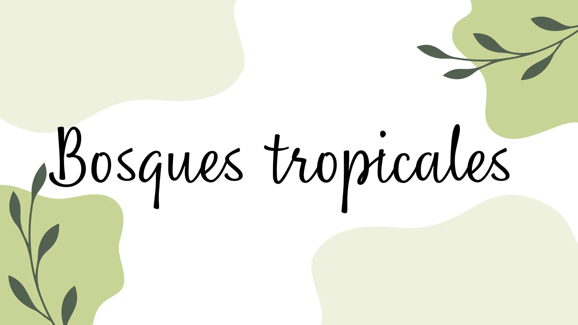 Bosques tropicales # Distribución de los bosques templados en México
Los bosques templados en México representan una parte significativa de